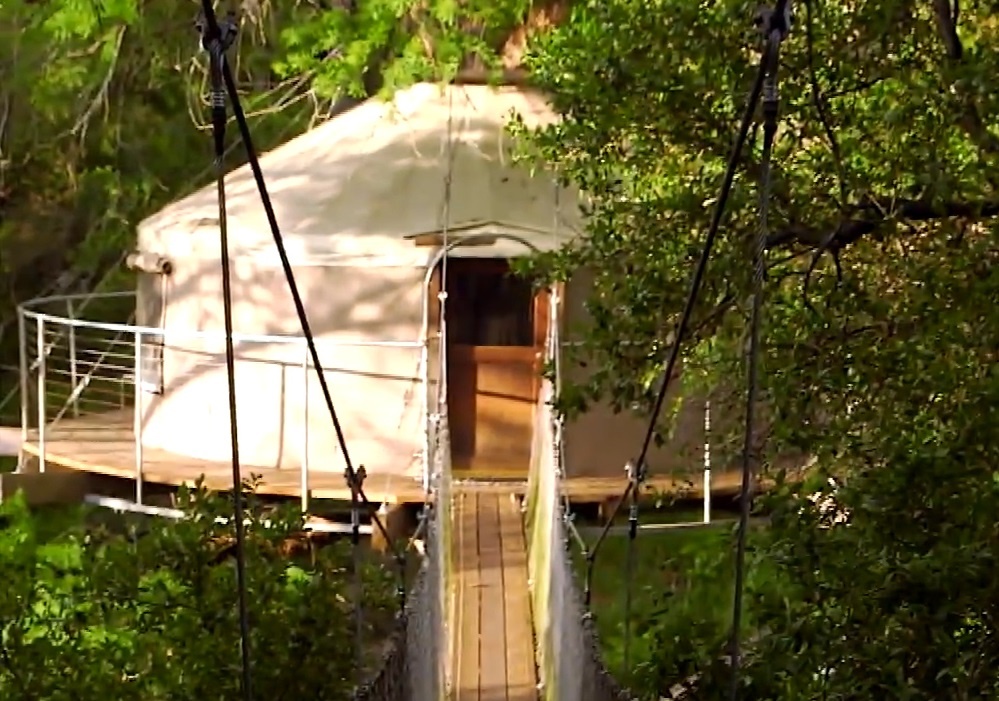 Cam trai tren nhung ngon cay hinh anh