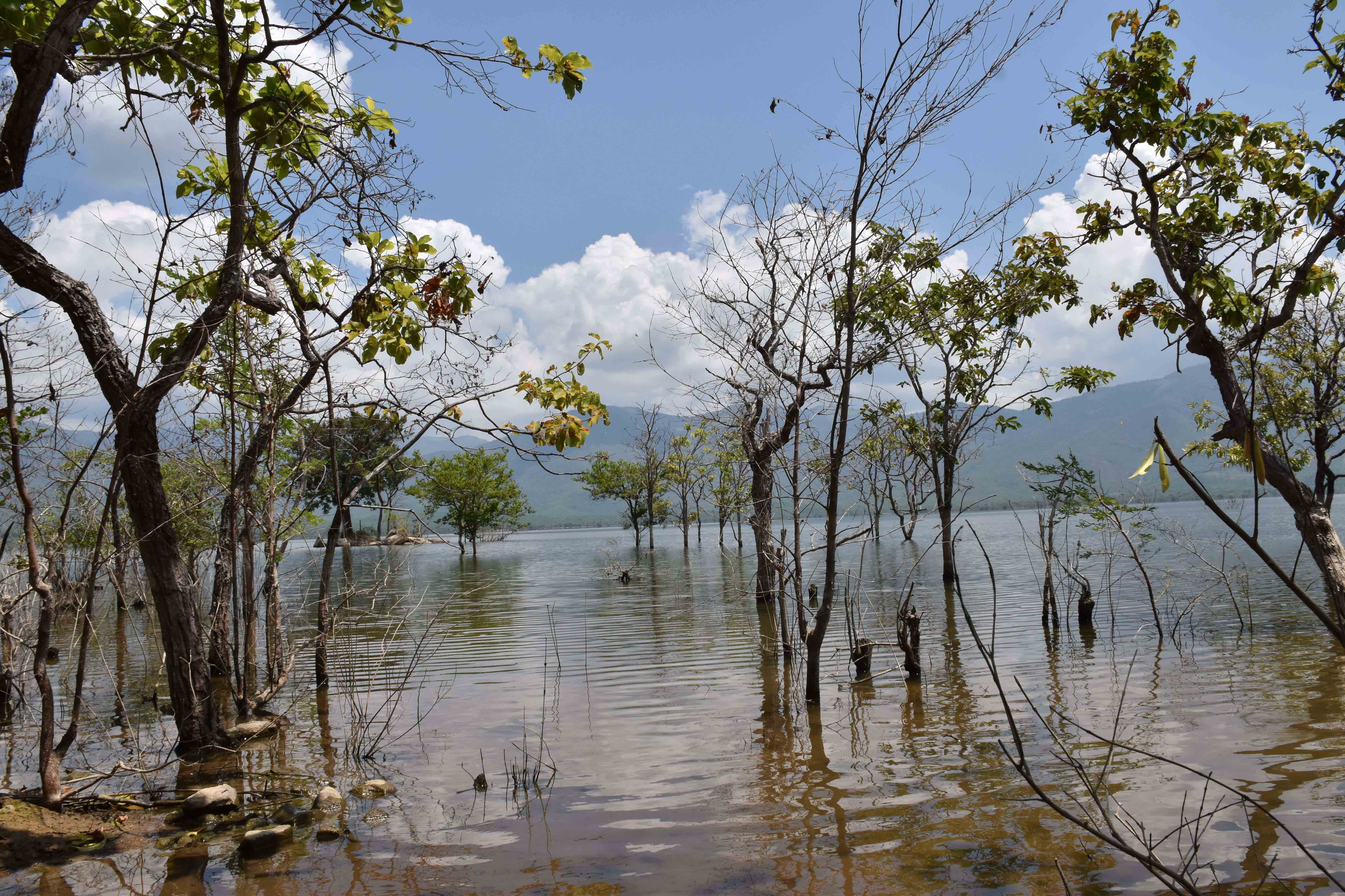 Du lich Ninh Thuan anh 10