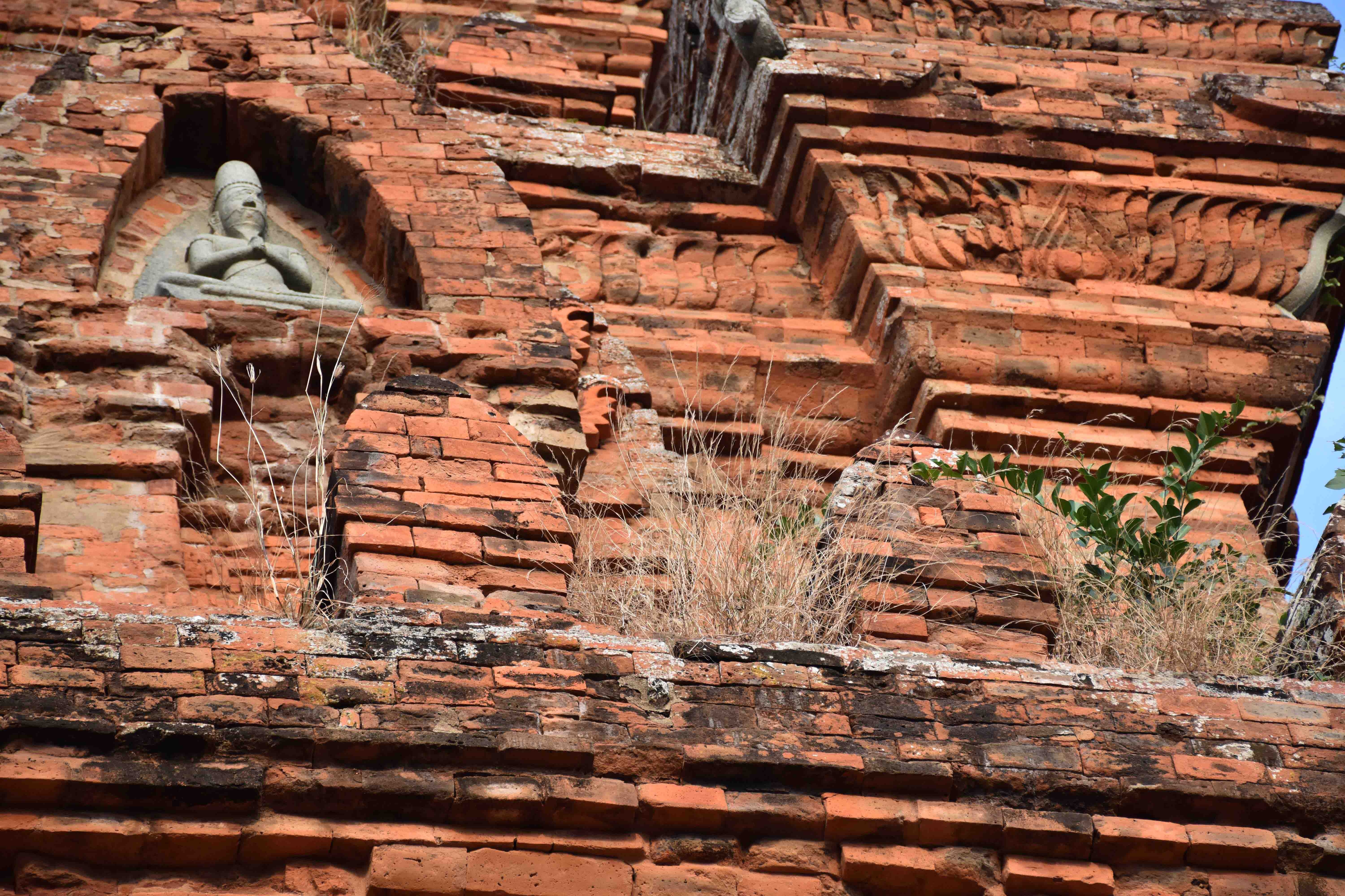 Du lich Ninh Thuan anh 14