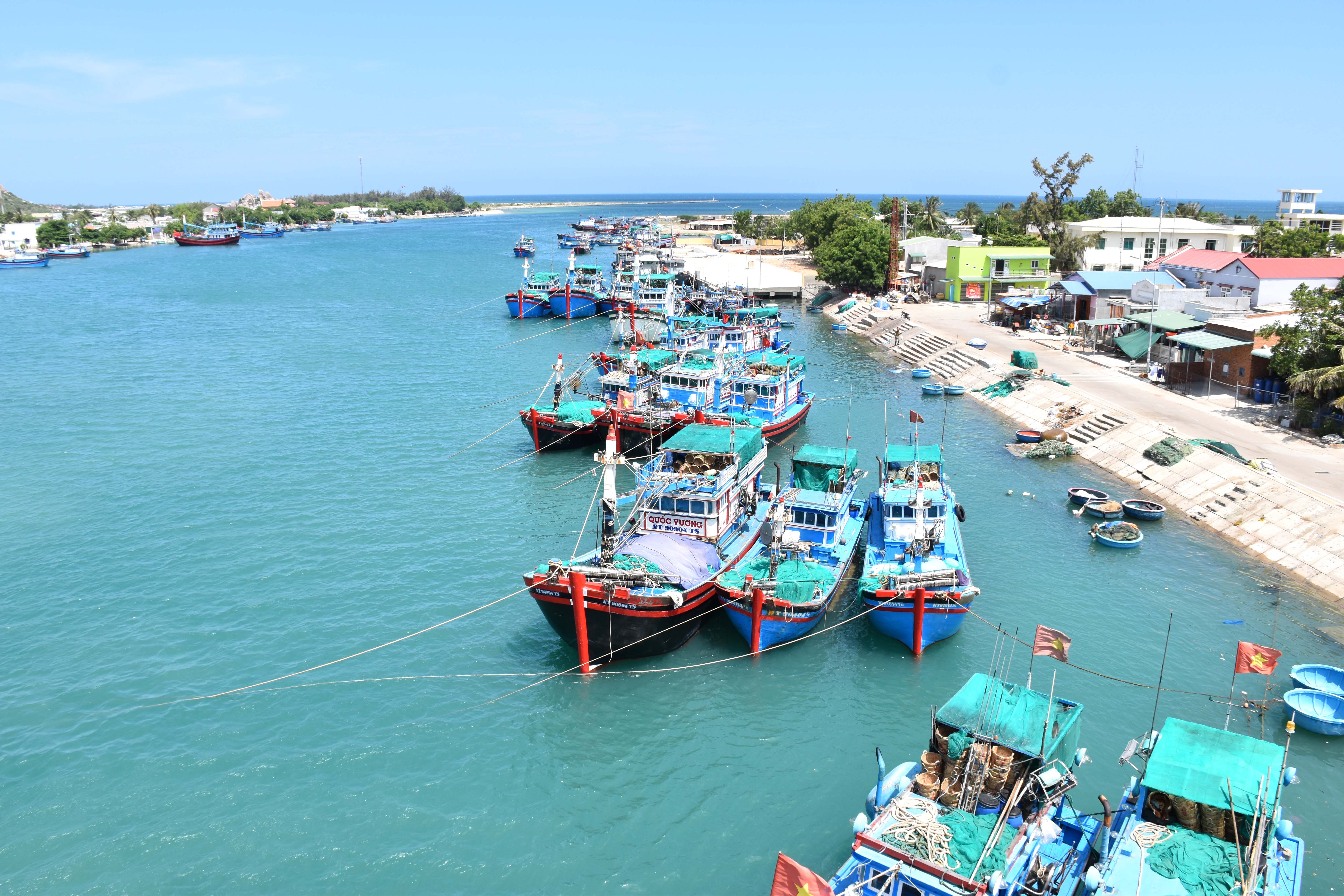 Diem den 2/9: Ninh Thuan - noi them gam mau cuoc song hinh anh