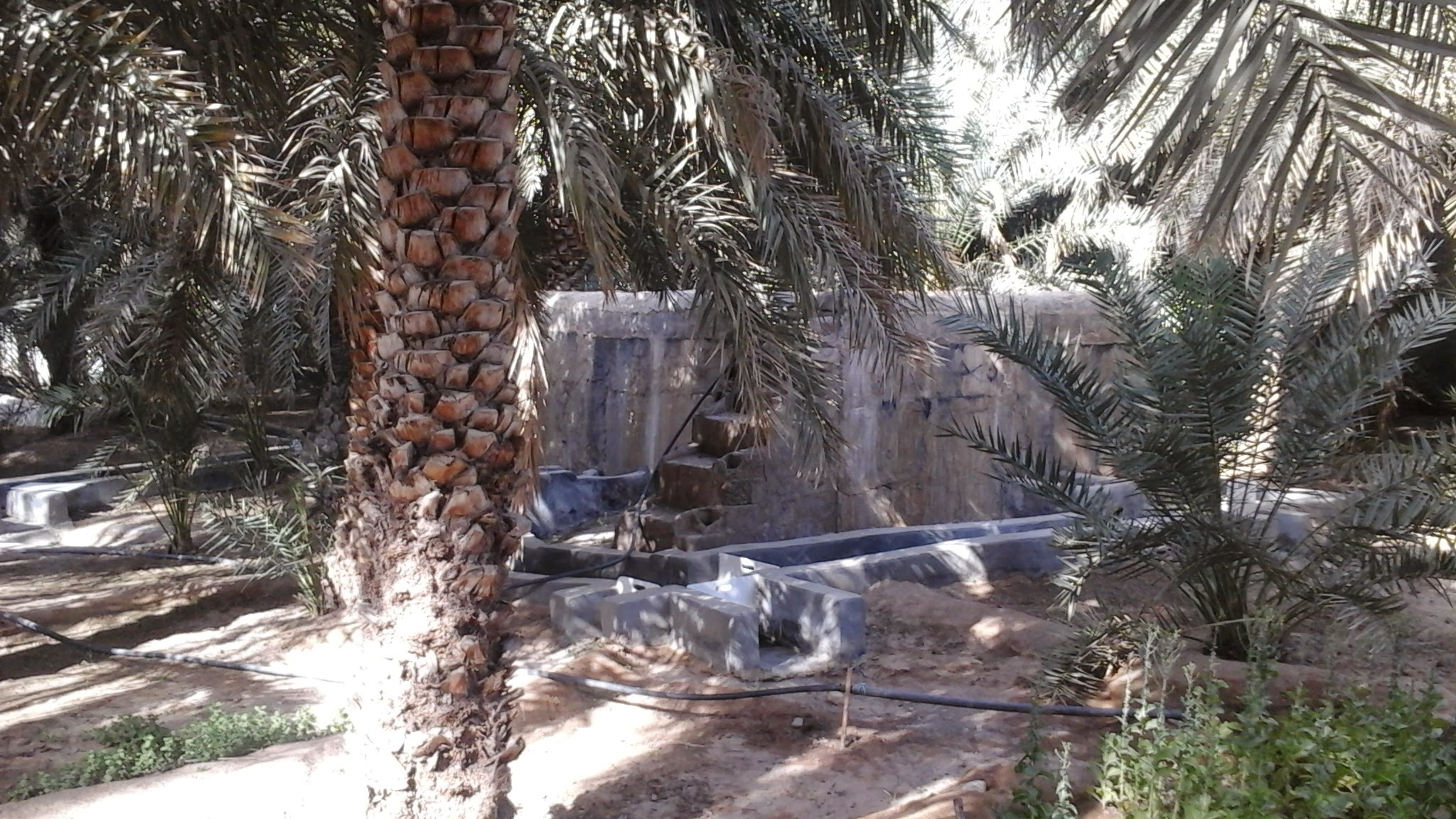 Kham pha thanh pho Abu Dhabi anh 9