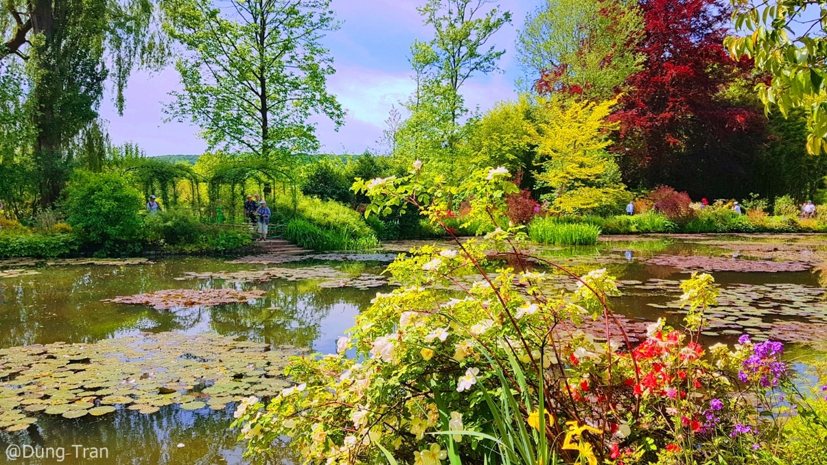 Theo co gai Viet tham vuon hoa cua danh hoa Monet hinh anh
