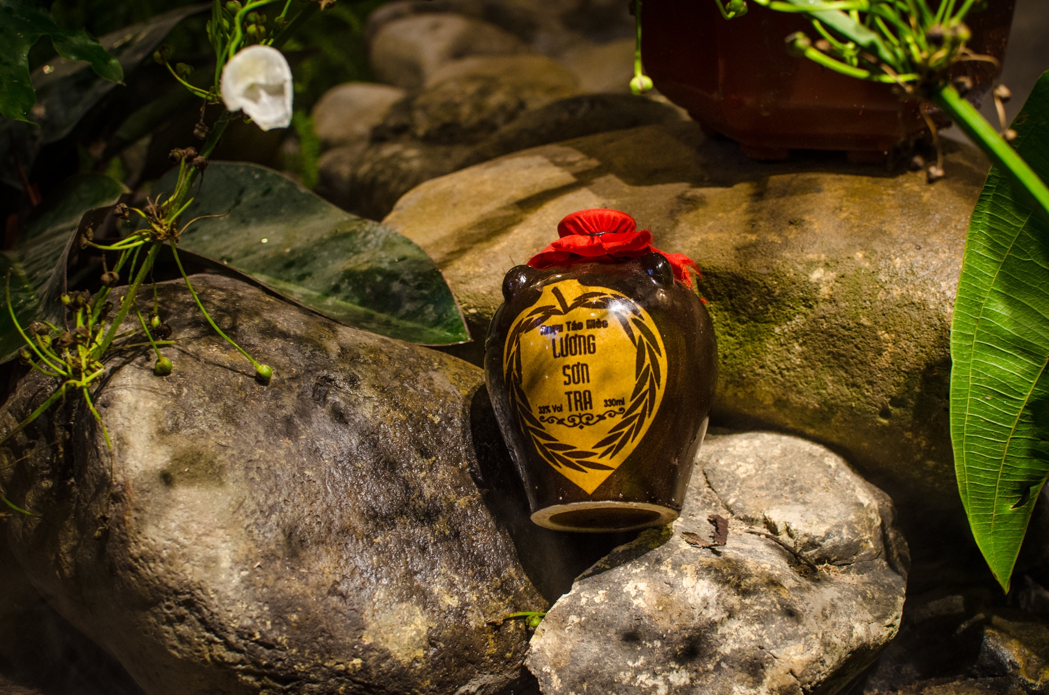 Tan Luong Son Quan anh 7