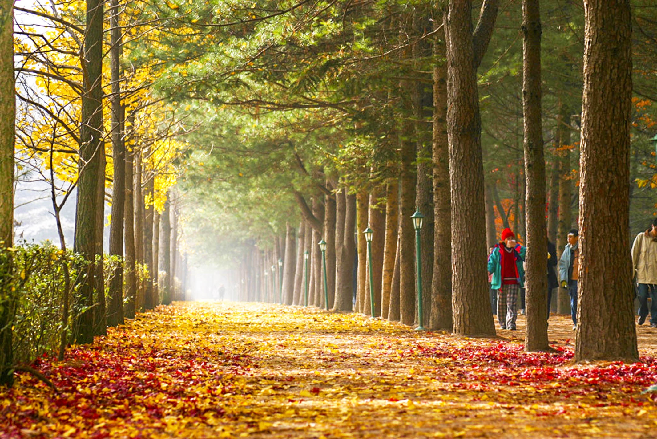 Du lich dao Nami anh 2