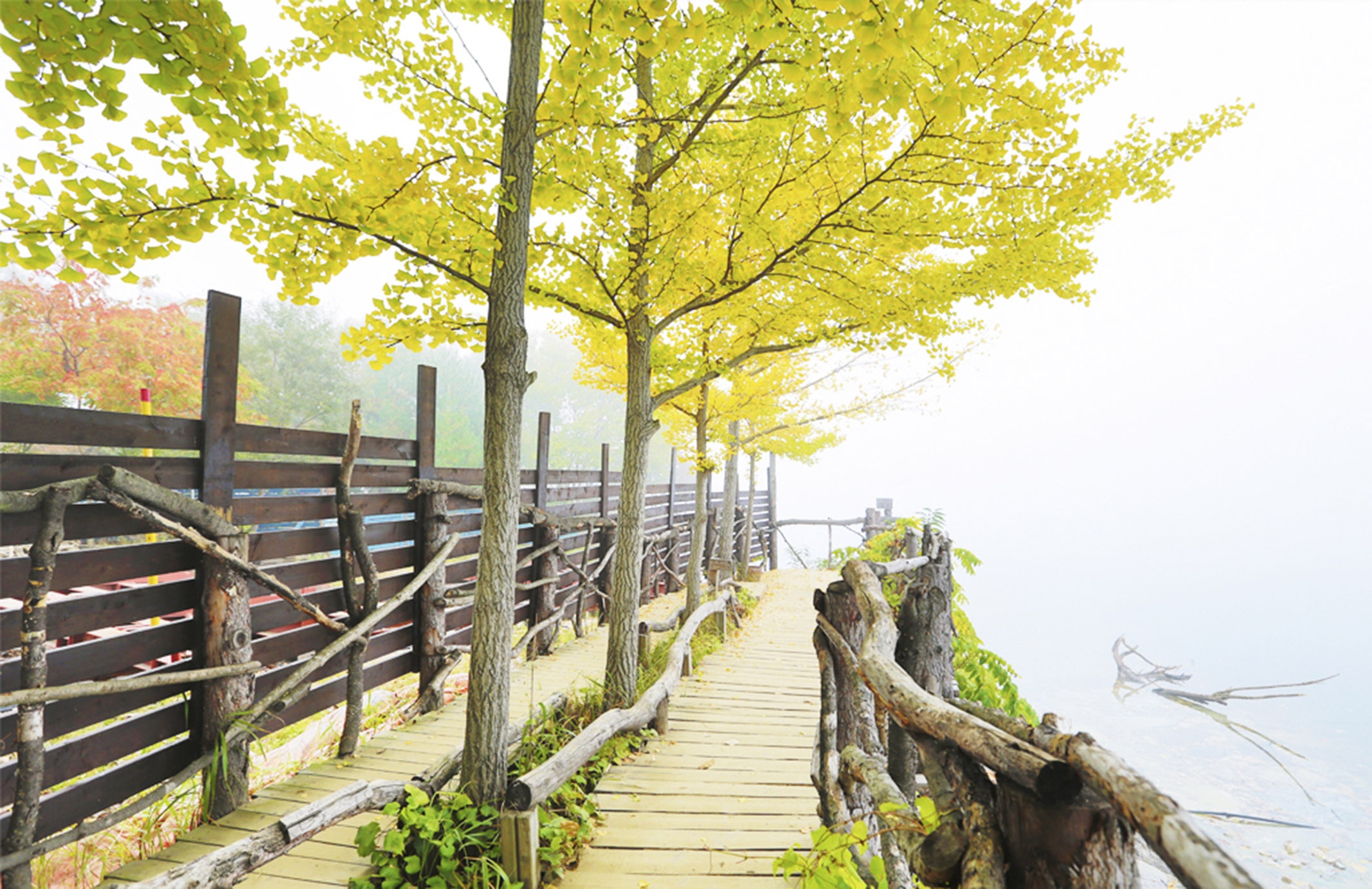 Du lich dao Nami anh 5