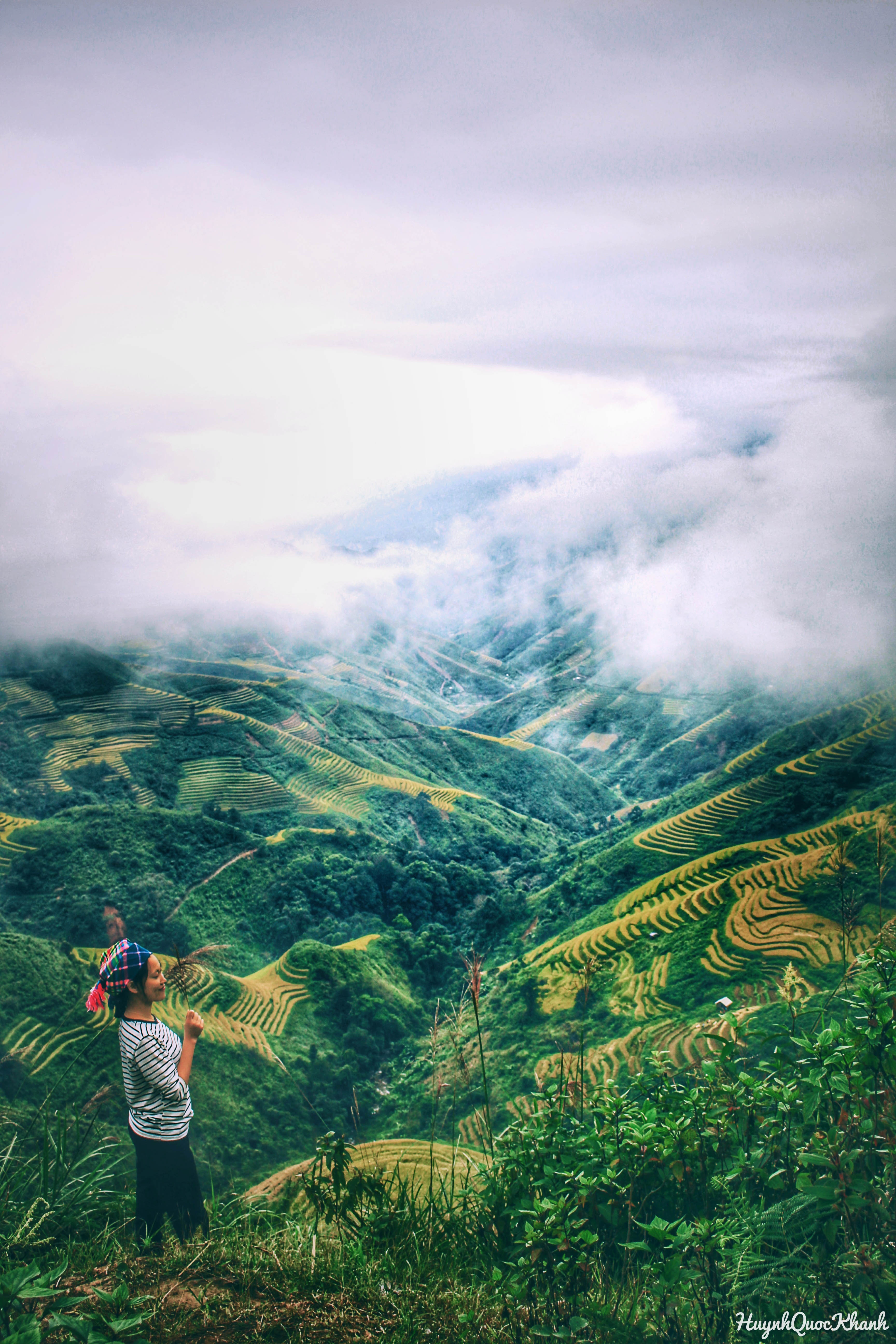 Biển mây Tà Xùa ảnh 2 Bien may Ta Xua anh 2