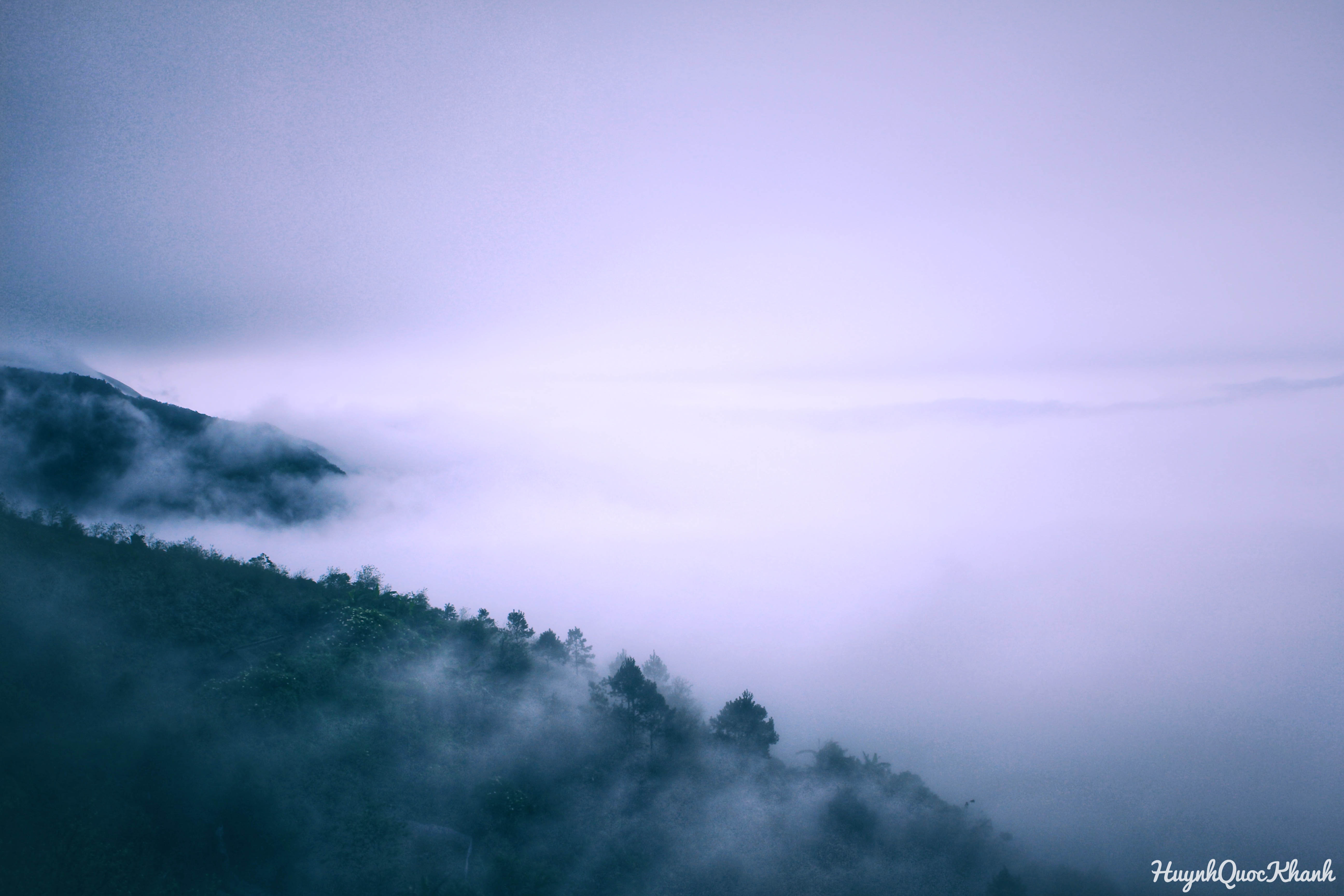 Biển mây Tà Xùa ảnh 6 Bien may Ta Xua anh 6