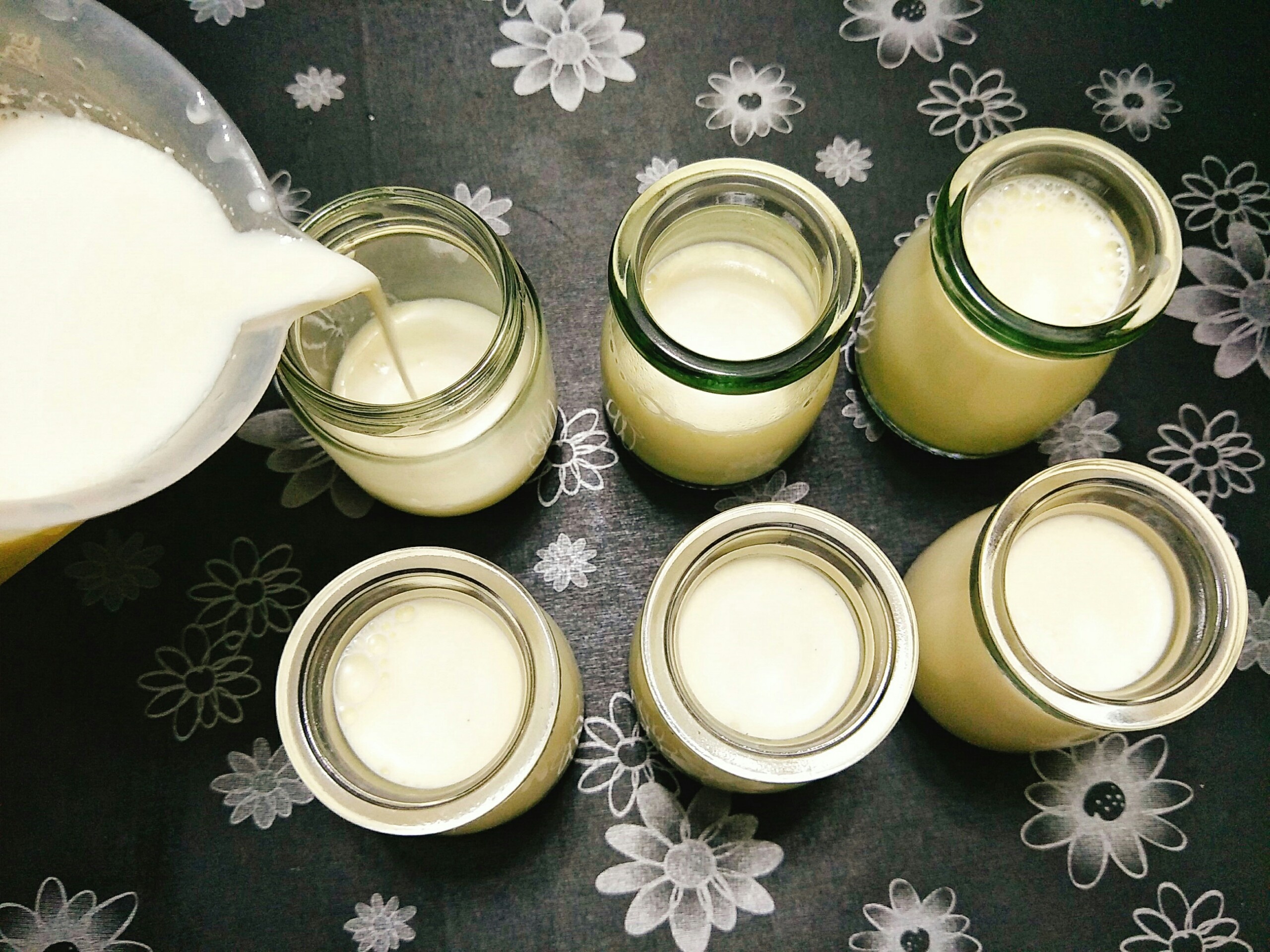 Cach lam sua chua anh 4