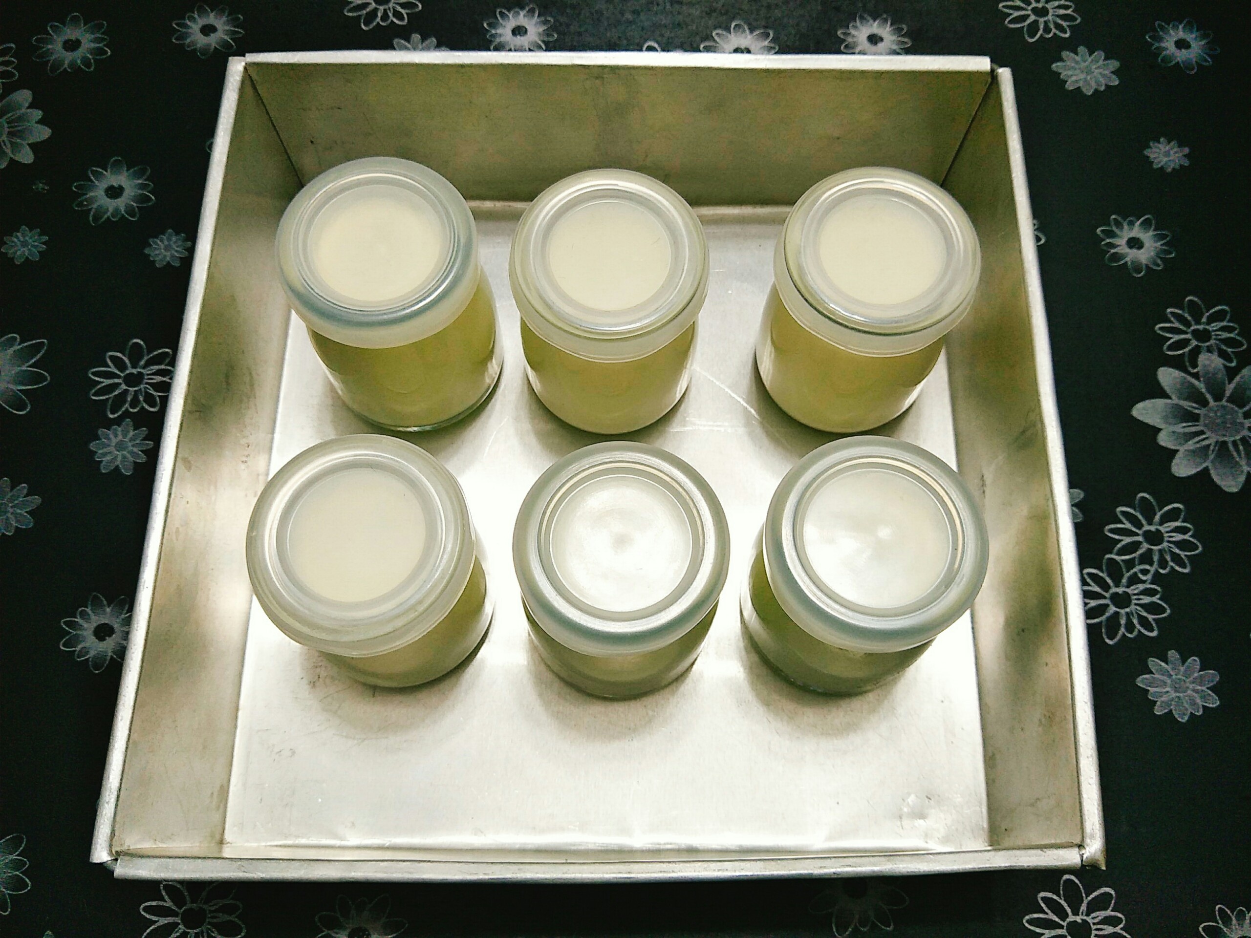 Cach lam sua chua anh 5