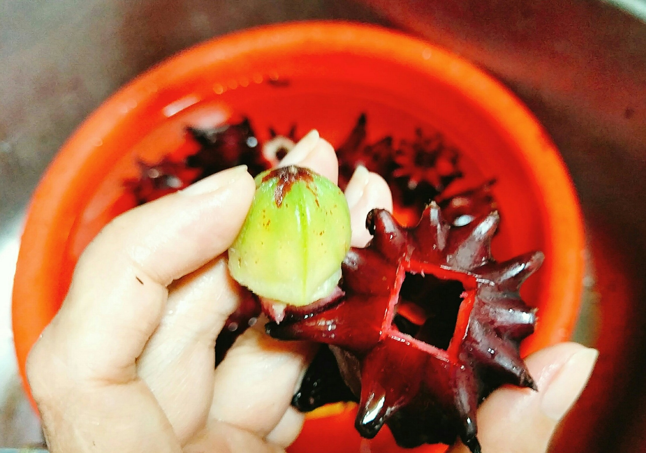 Siro hoa atiso do anh 3