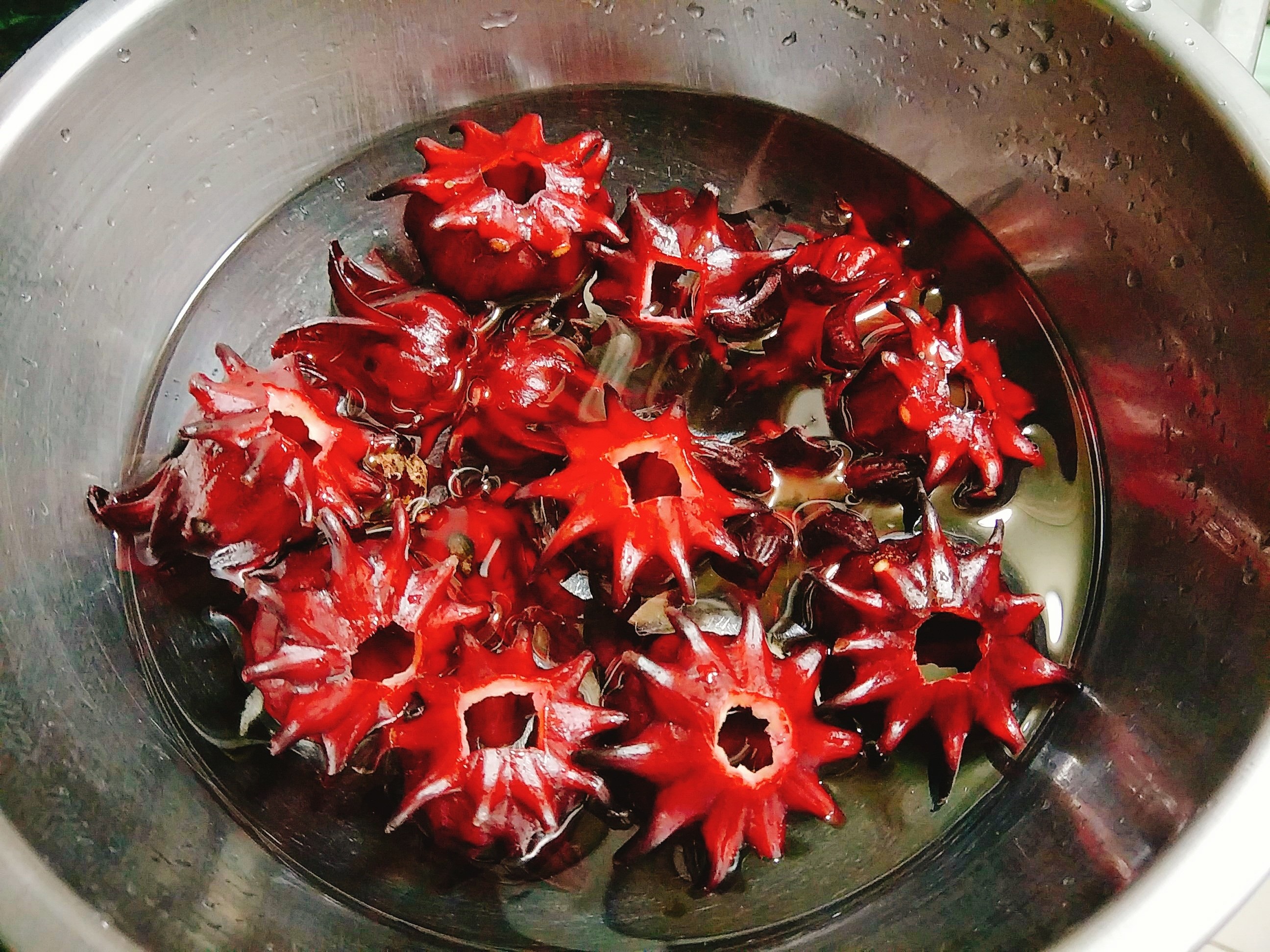 Siro hoa atiso do anh 4