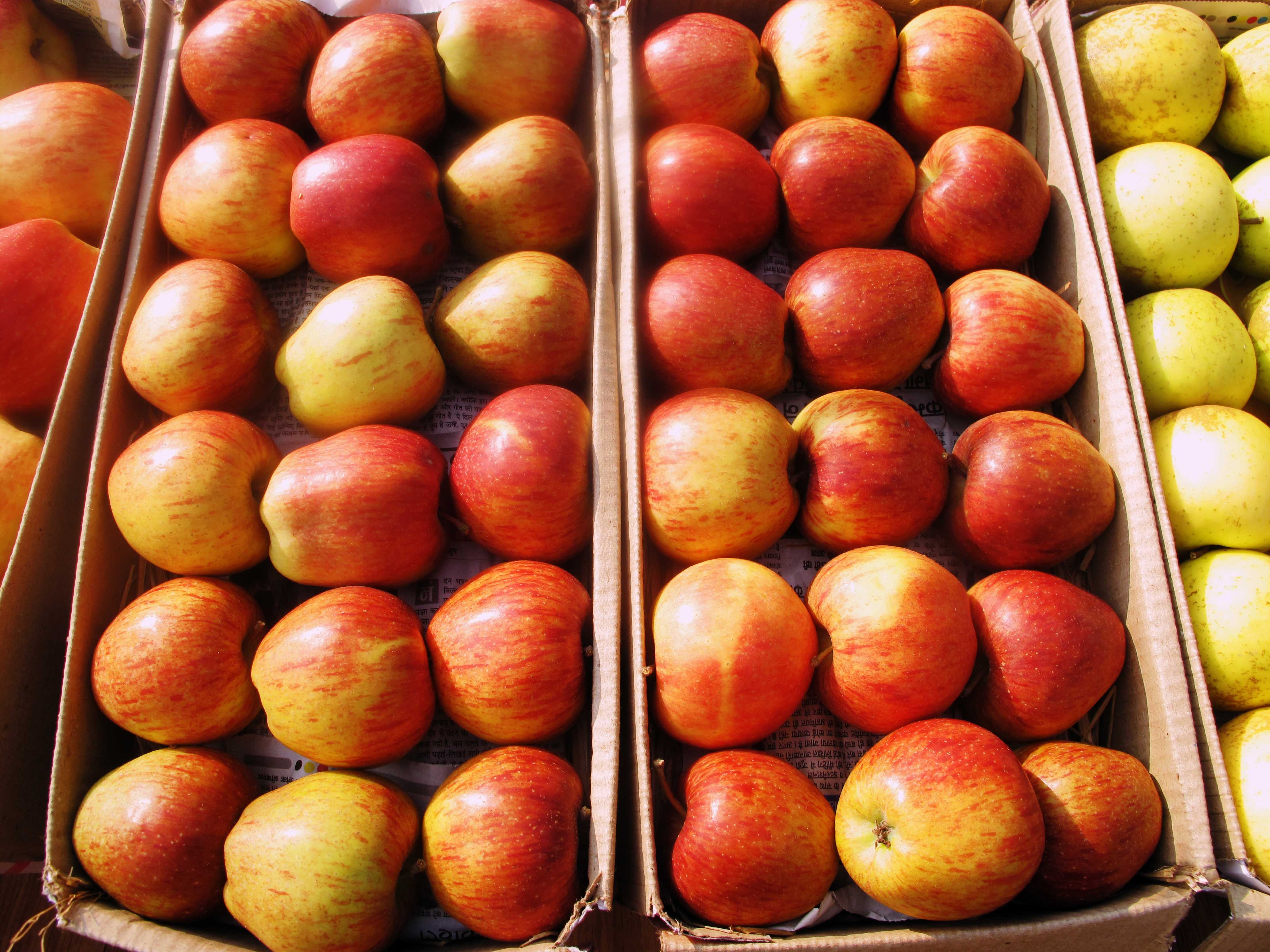 Thien duong tran gian anh 6