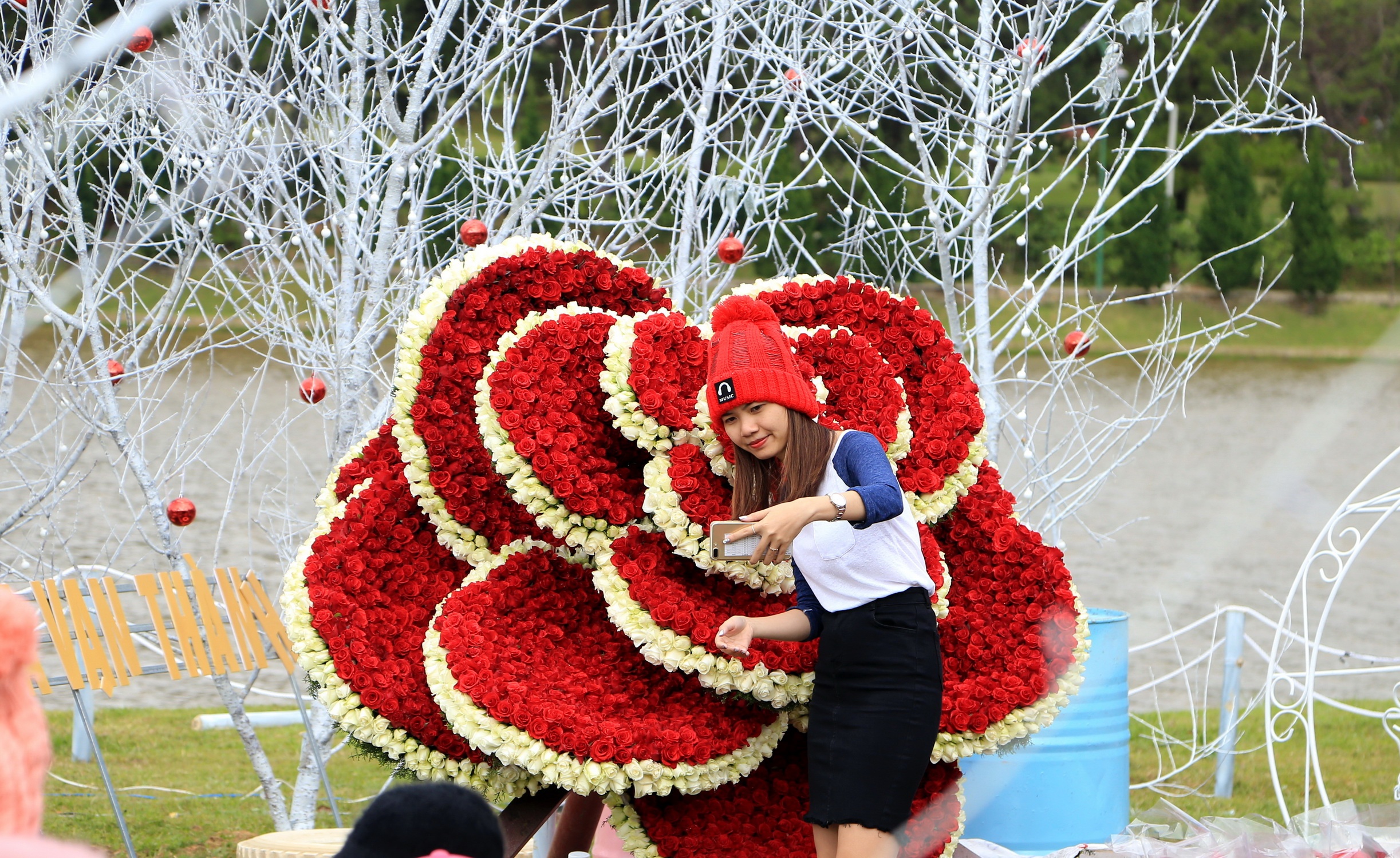 Da Lat truoc ngay khai mac Festival hoa hinh anh