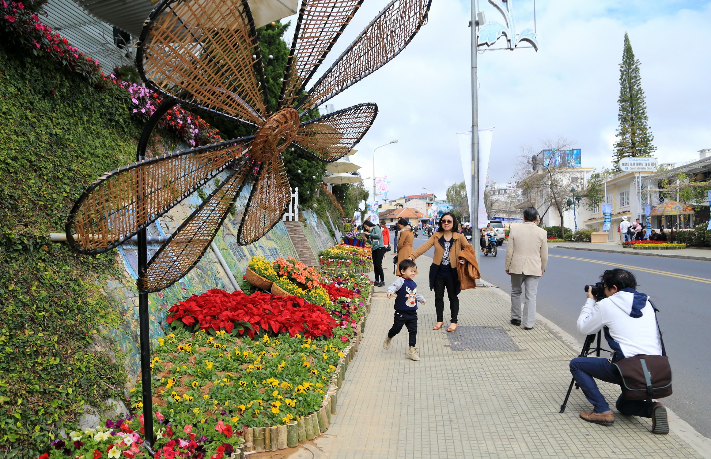 Festival Hoa lan thu 7 anh 4