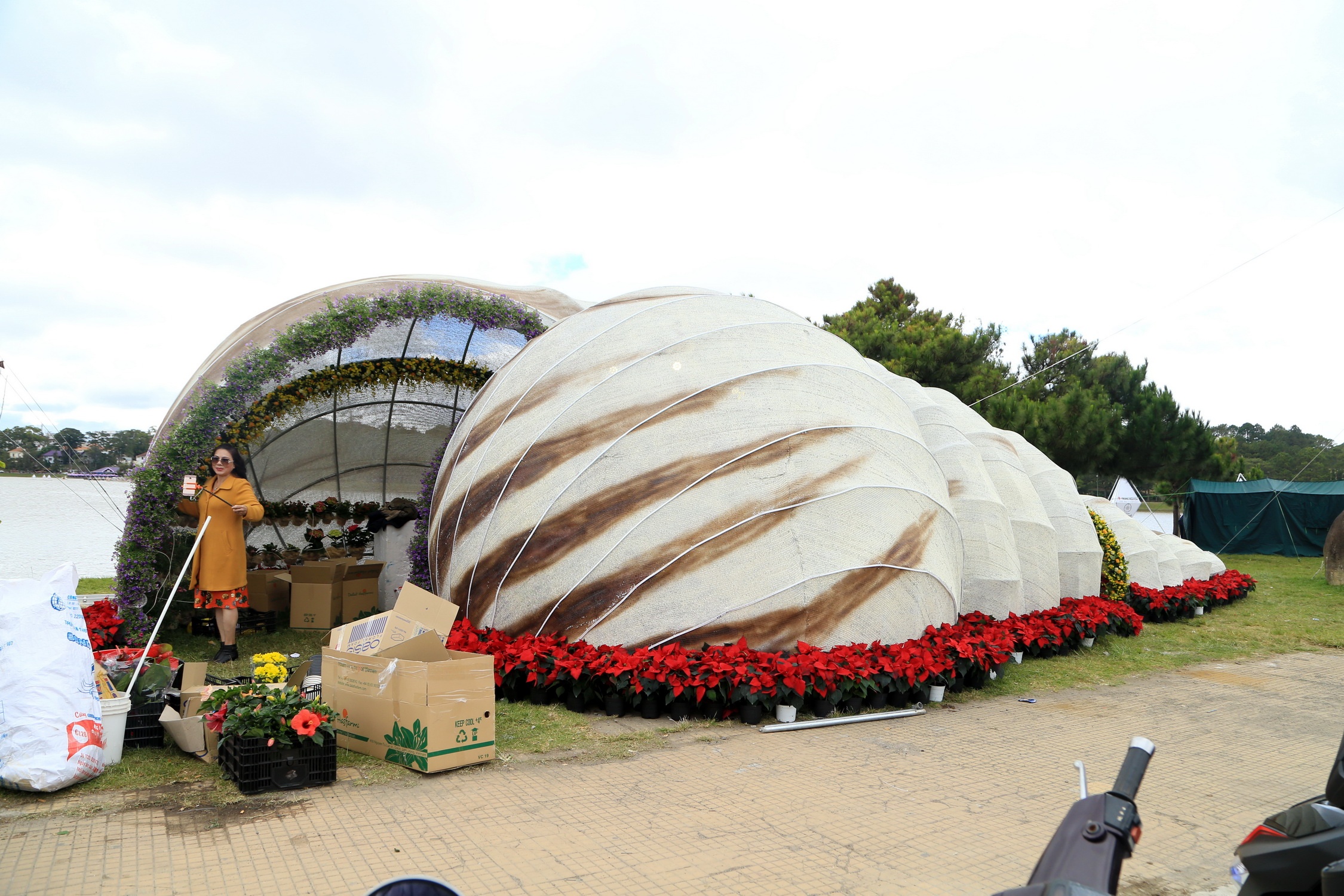 Festival Hoa lan thu 7 anh 7