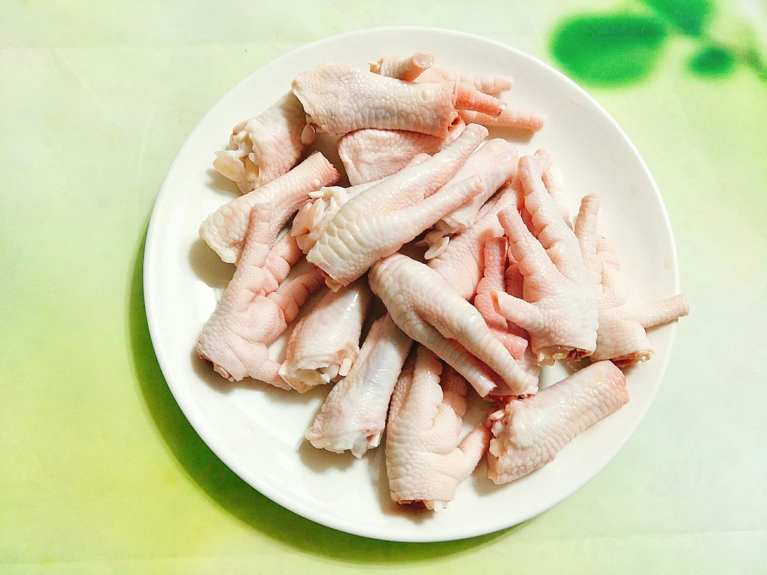 Chan ga ngam sa tac anh 2