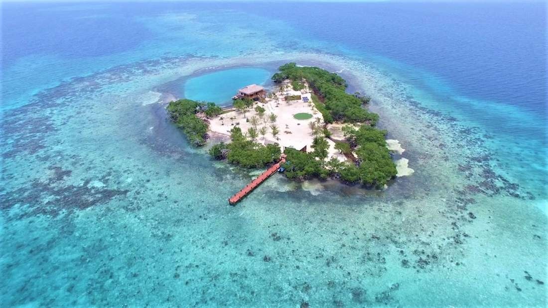 Oc dao giua dai duong hinh anh