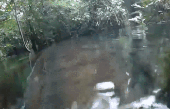 Duong mon bien thanh thien duong duoi nuoc sau con mua lon hinh anh