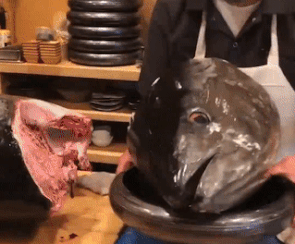 Dau bep chuyen che bien sushi tu nhung con ca khong lo hinh anh