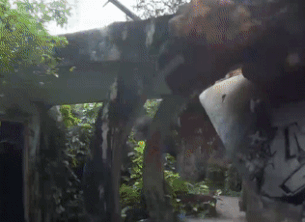 Ve dep ma mi cua cong vien bo hoang o Hue hinh anh