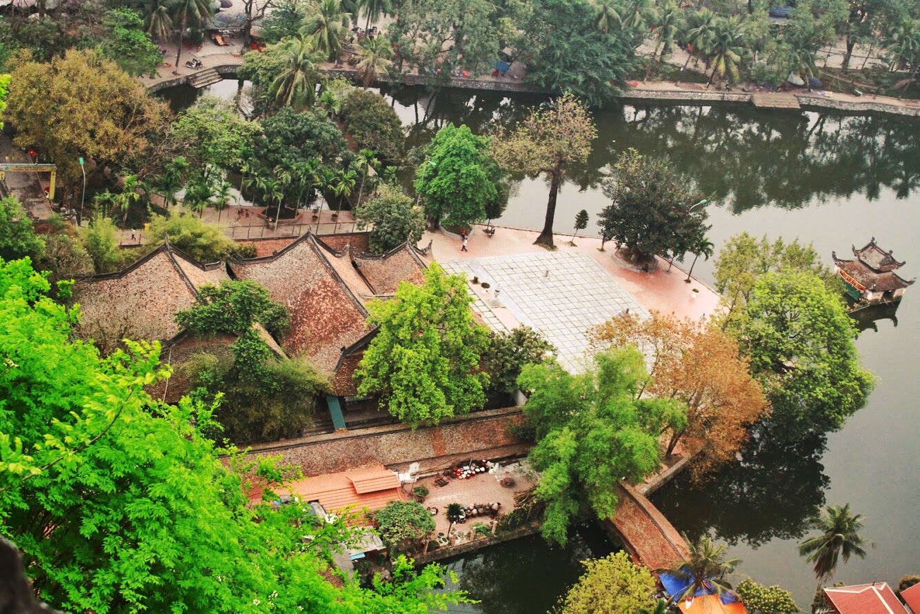 Mua hoa gao ra hoa anh 1