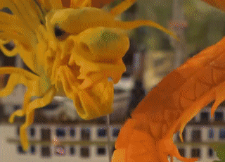 Du khach dam minh trong trai nghiem bat tan cua vinh Ha Long hinh anh