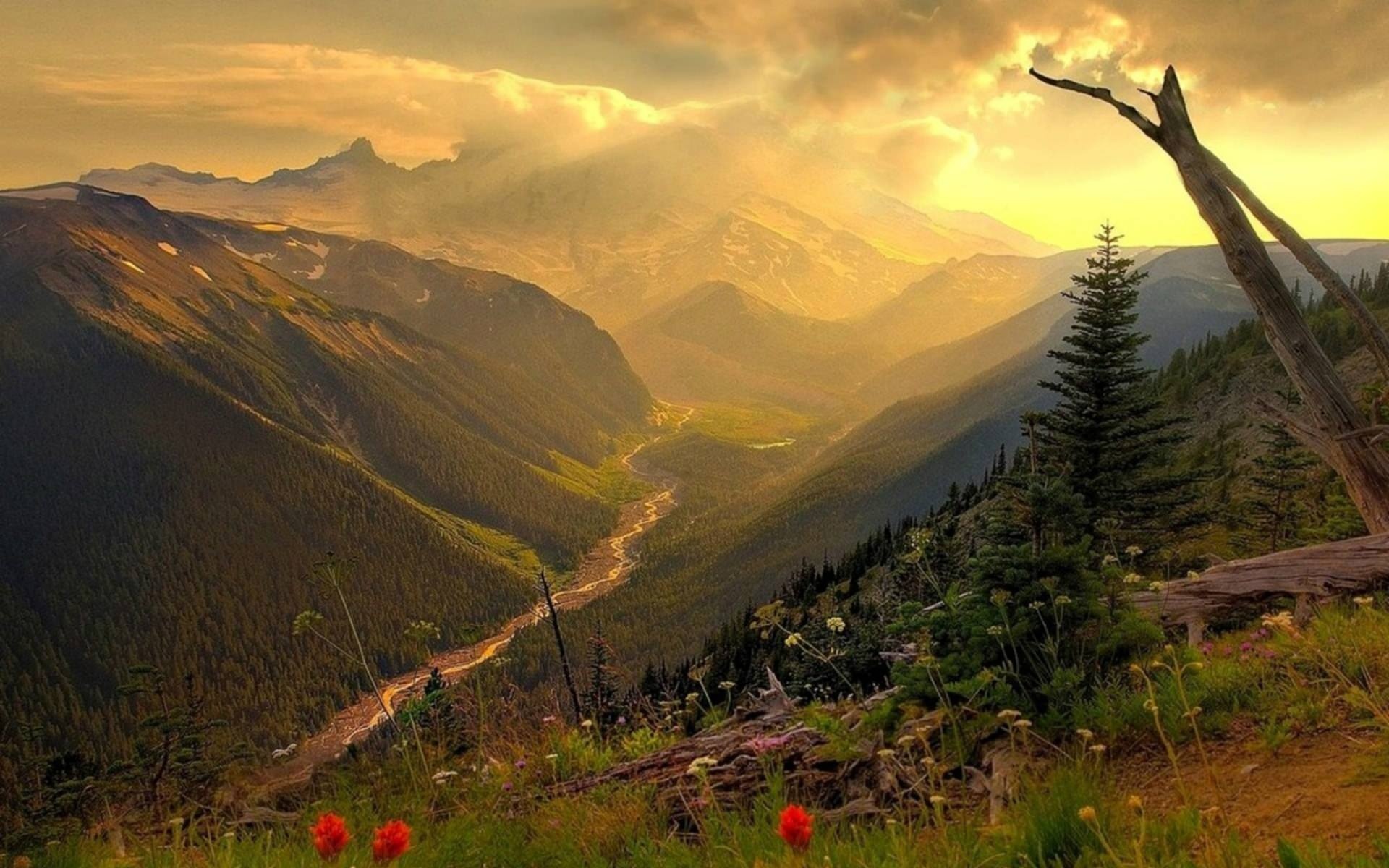 12 cung duong deo hung vi anh 2