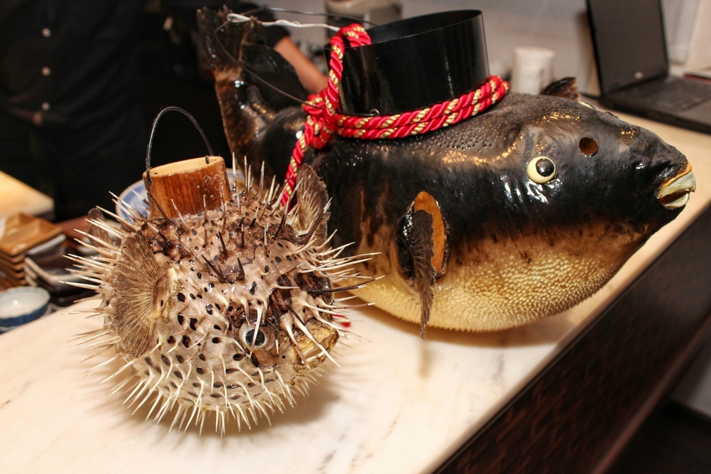 Nha hang chuyen lam mon Nhat tu ca noc hinh anh