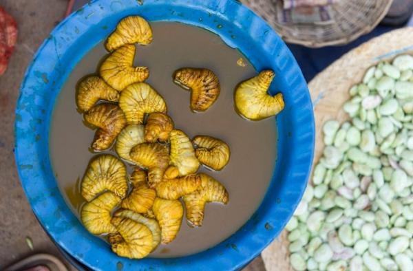 Dac san Phu Tho anh 13