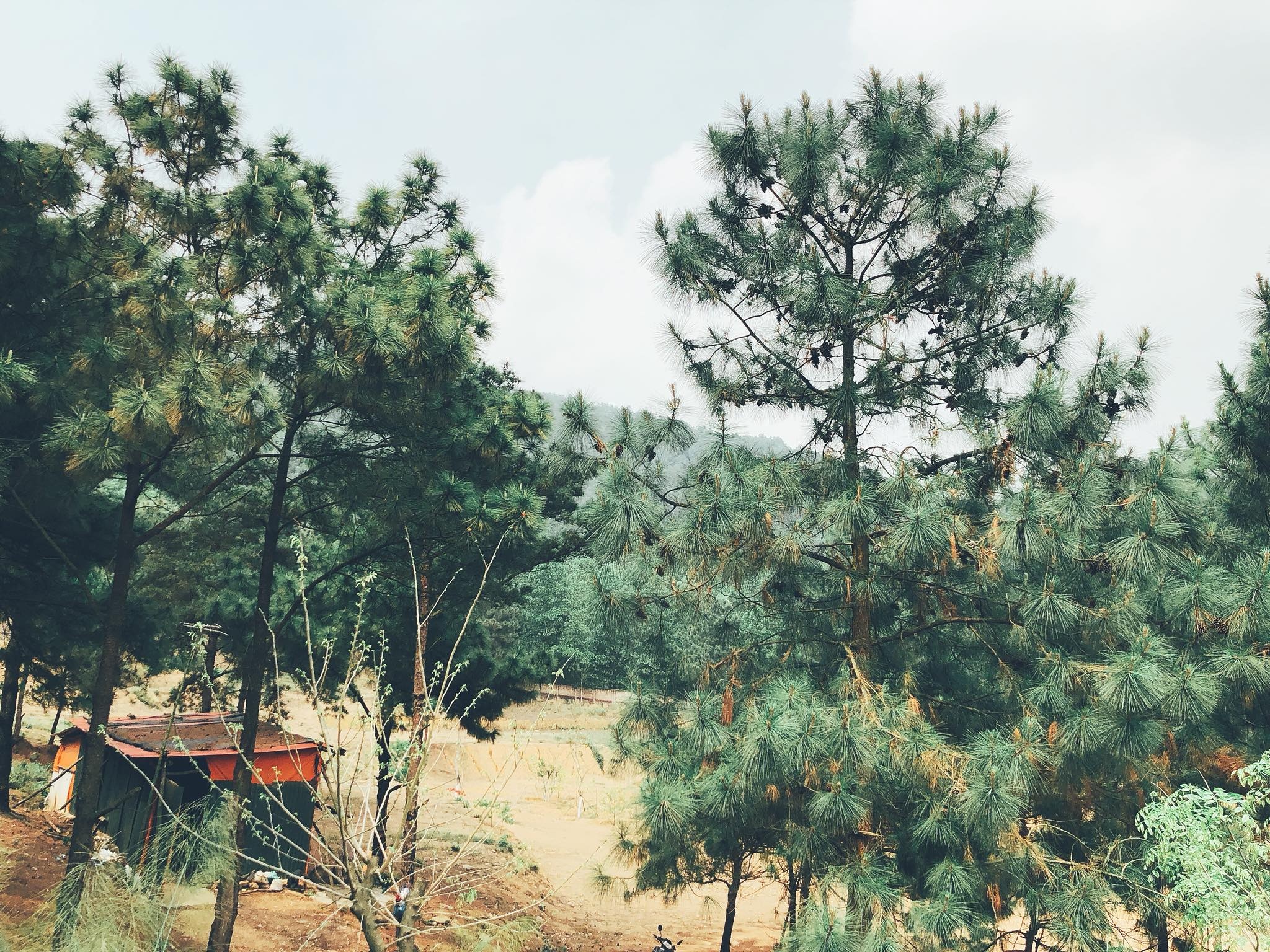 Nha ben rung Soc Son anh 18