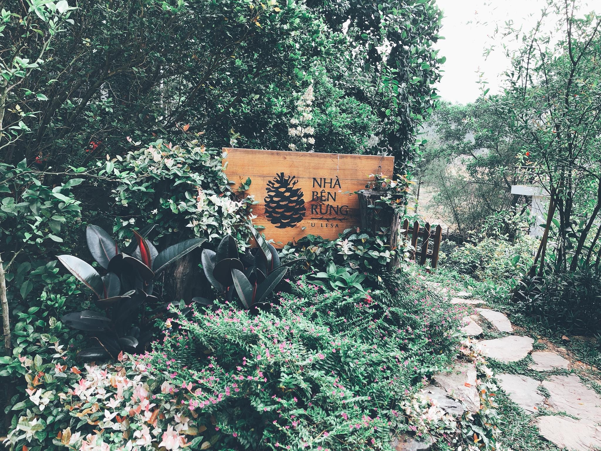 Nha ben rung Soc Son anh 1