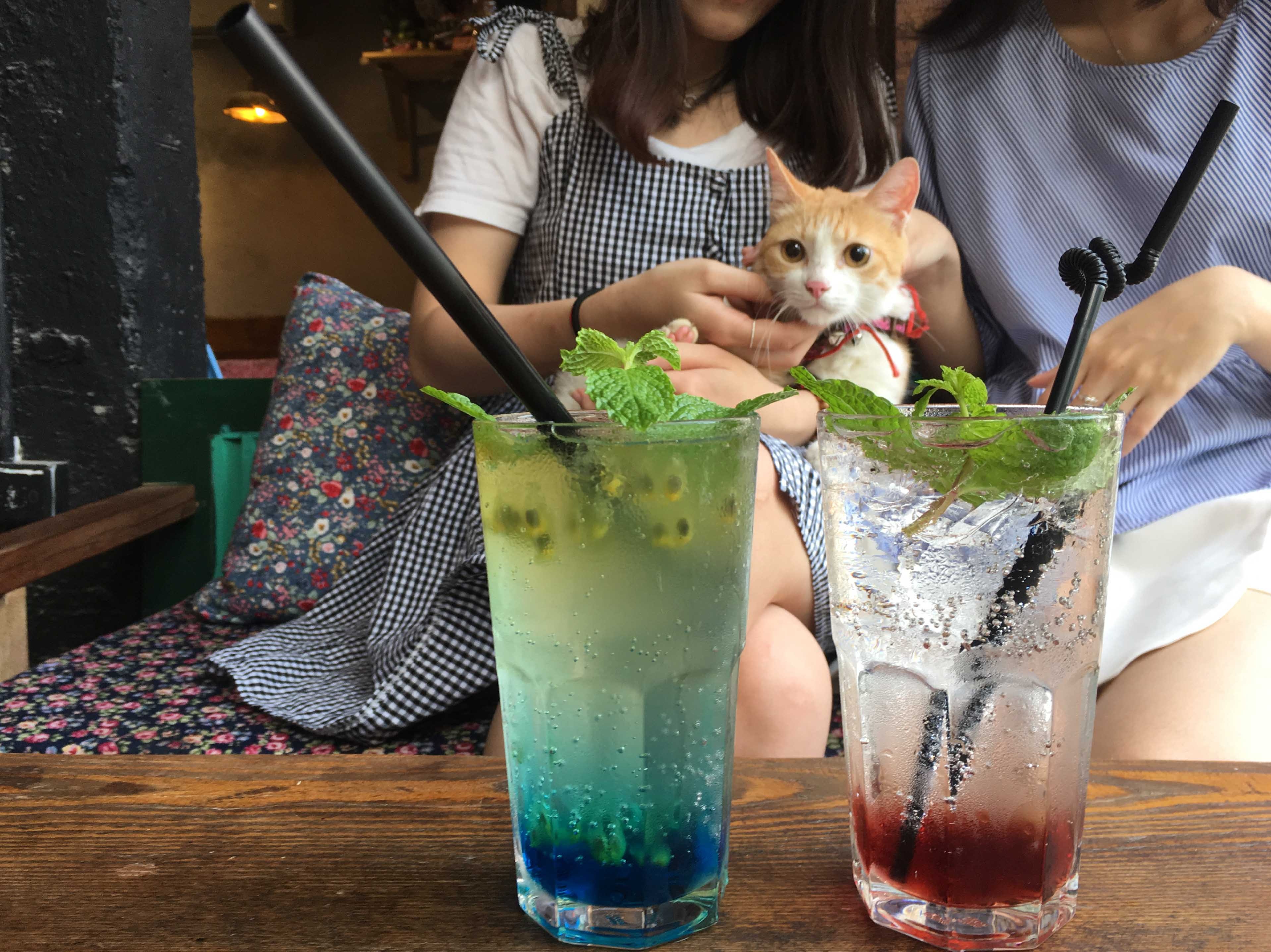 Mach ban an het ca khu Ha Dong chi voi 300.000 dong hinh anh