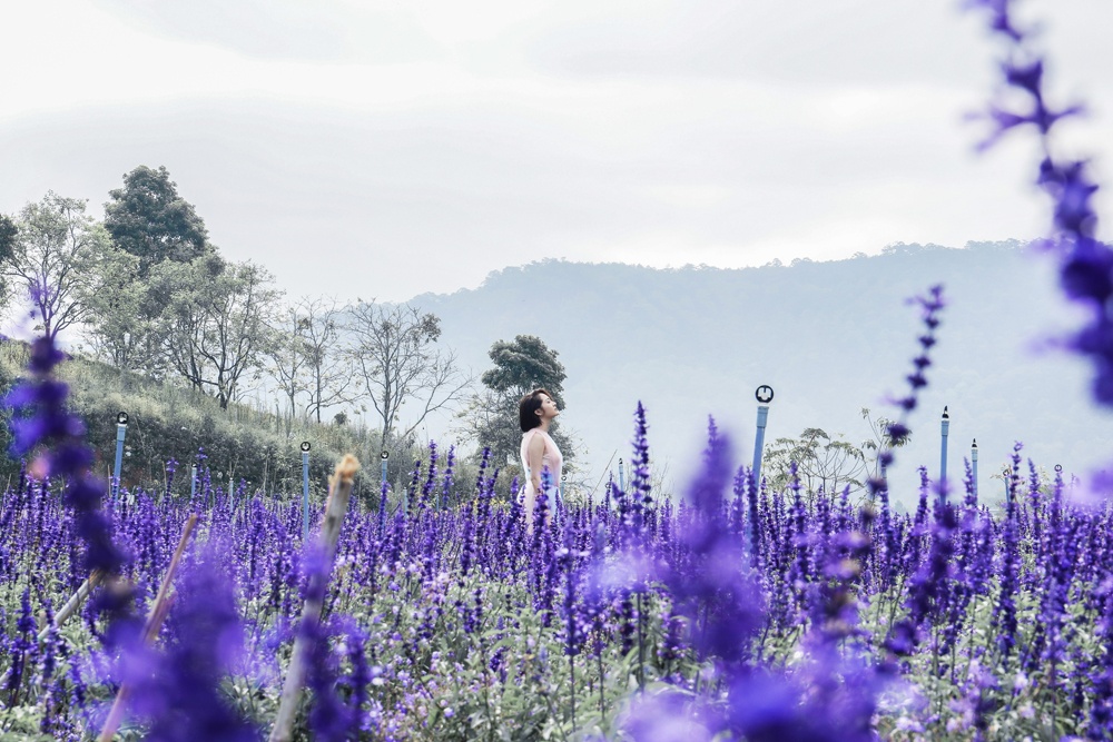 Diem du lich moi o Da Lat anh 8