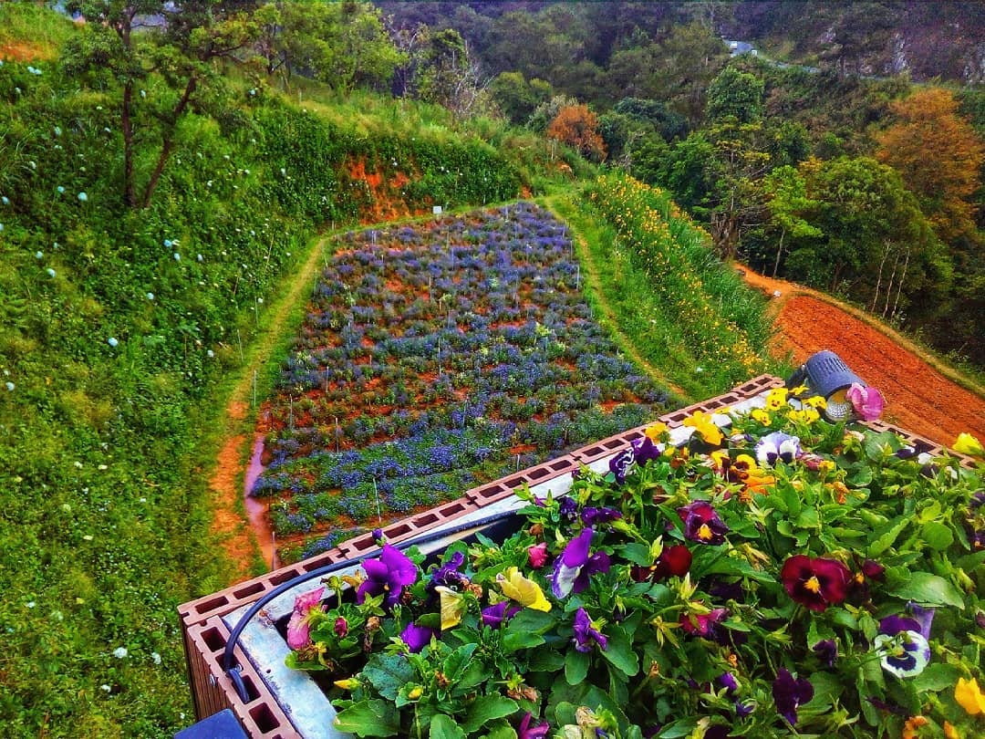 Diem du lich moi o Da Lat anh 12