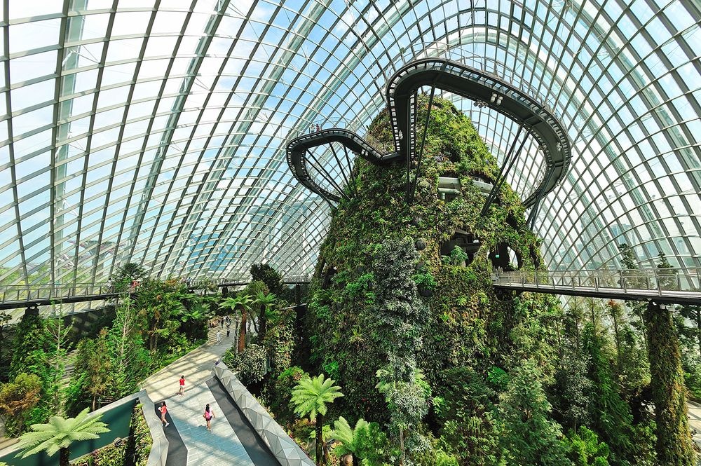 Garden by the Bay - khu vuon kinh dep quen loi ve cua Singapore hinh anh