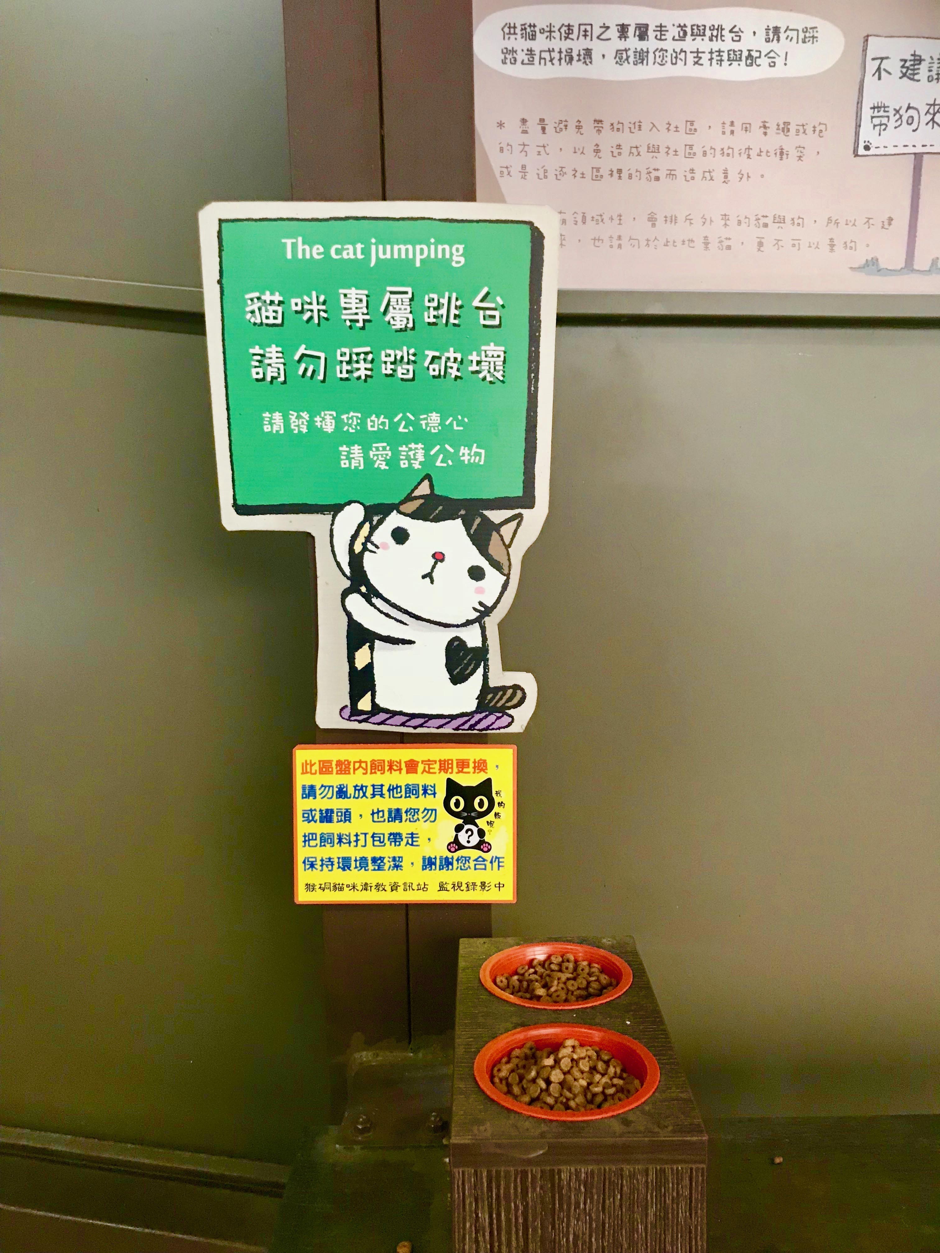 Kham pha lang meo o Dai Loan anh 6