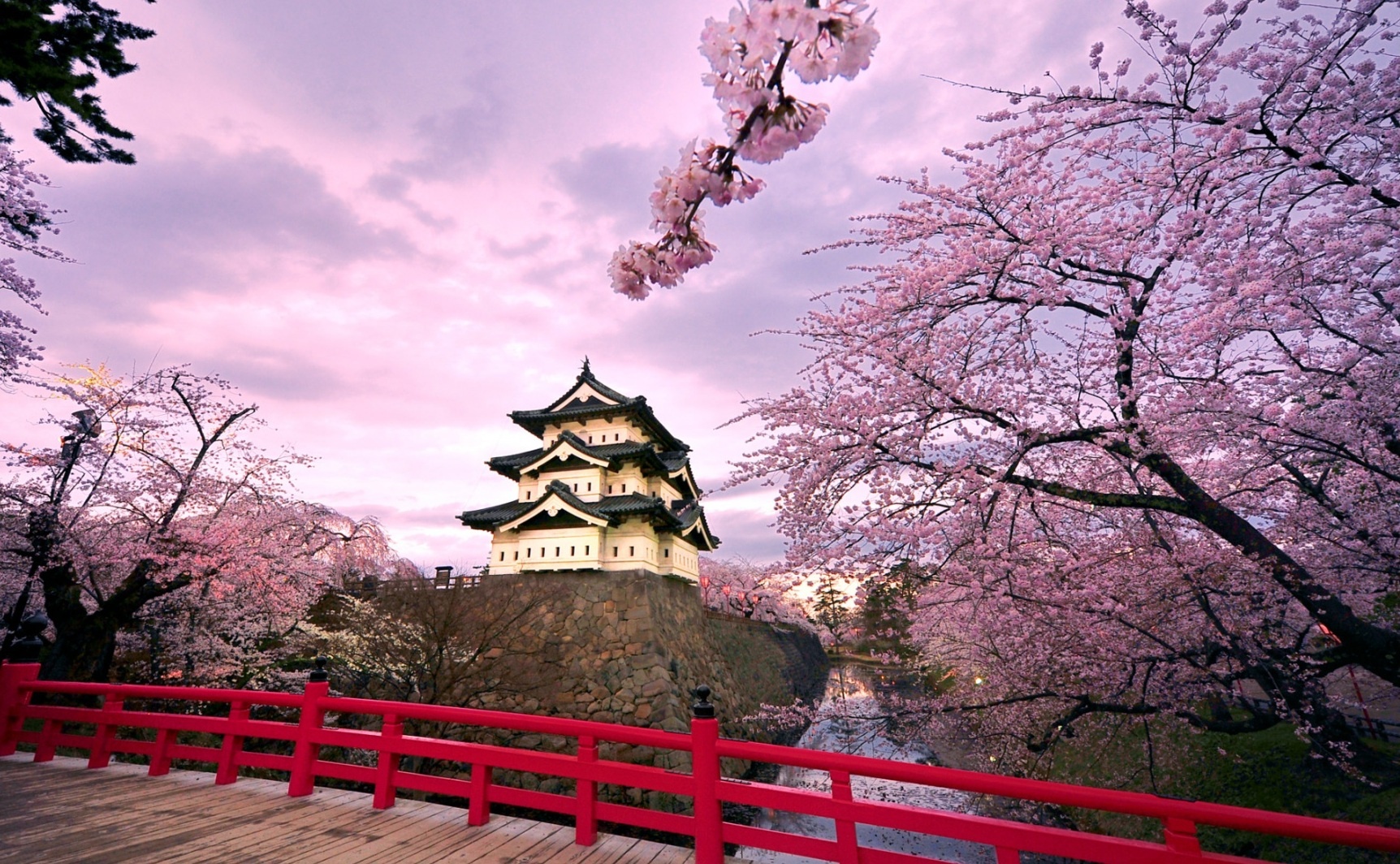Lý do nên du lịch Osaka ảnh 5 Ly do nen du lich Osaka anh 5
