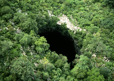 Kham pha hang ong lon nhat the gioi o Mexico hinh anh