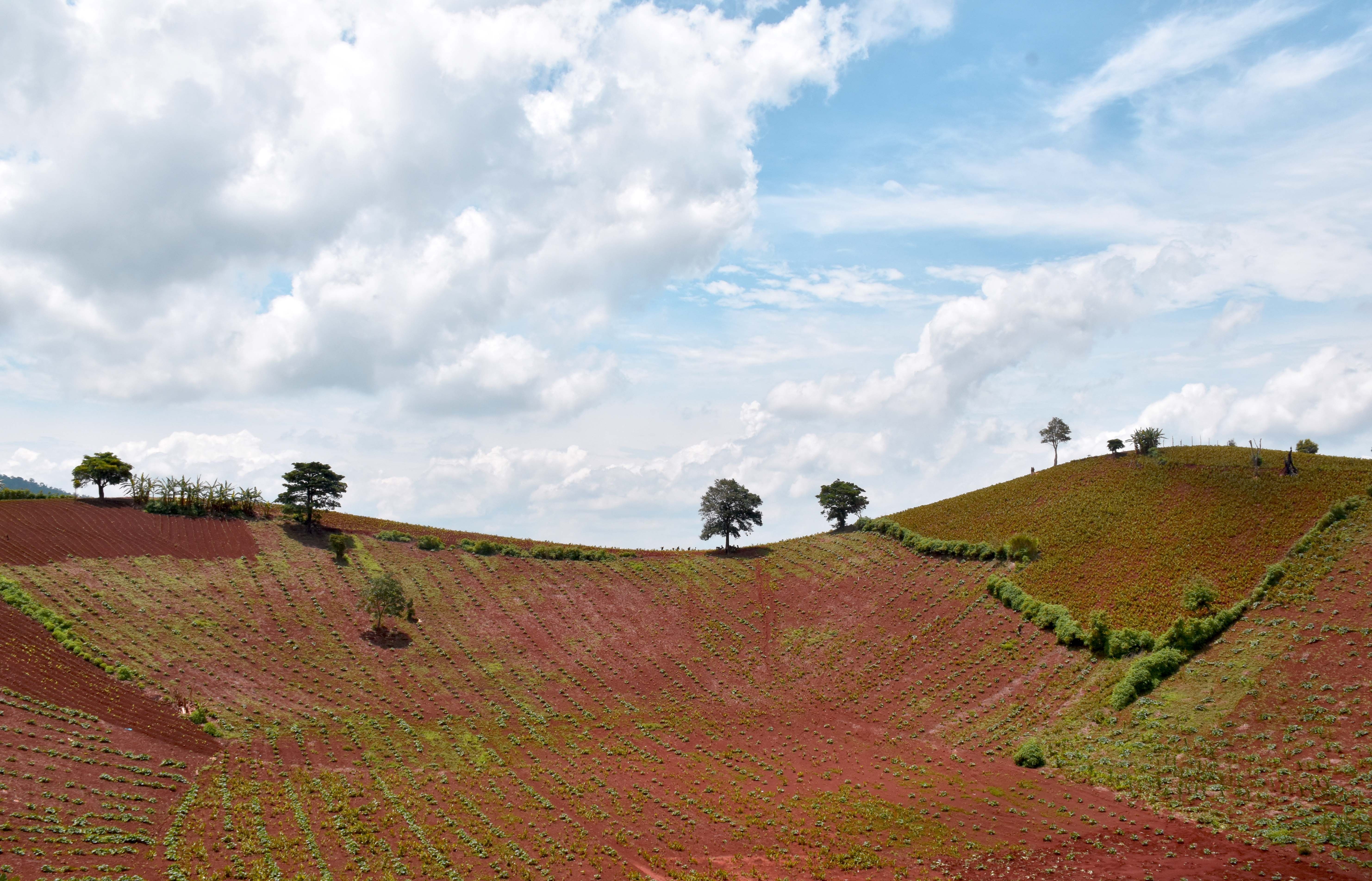 Mot thoang Tay Nguyen anh 11
