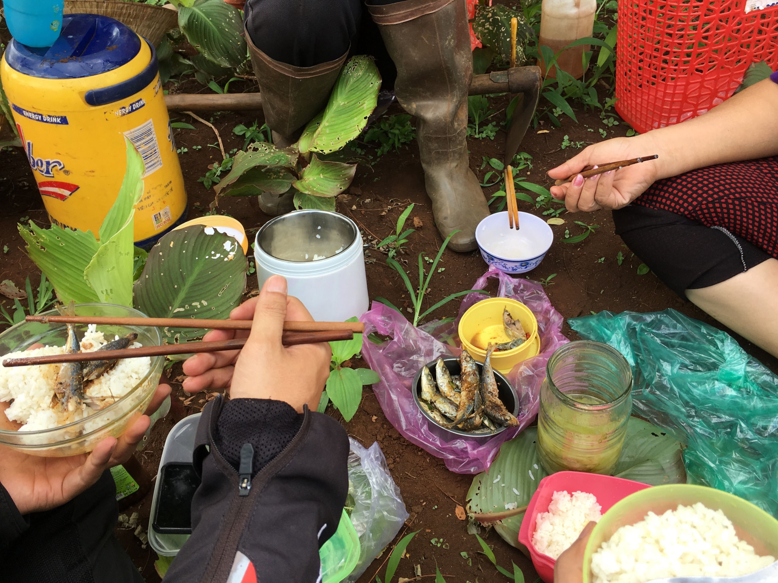 Mot thoang Tay Nguyen anh 13