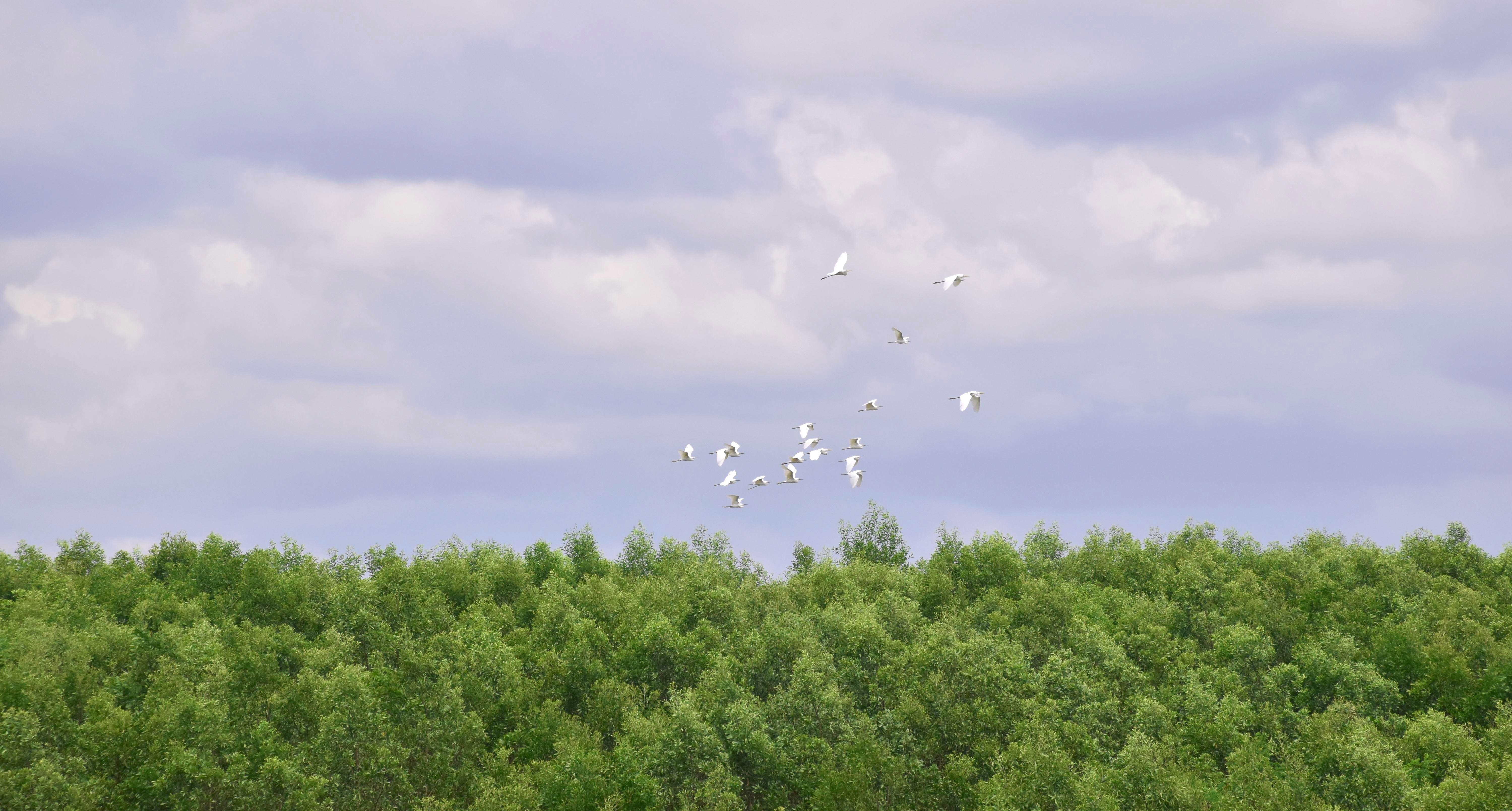 Mot thoang Tay Nguyen anh 17