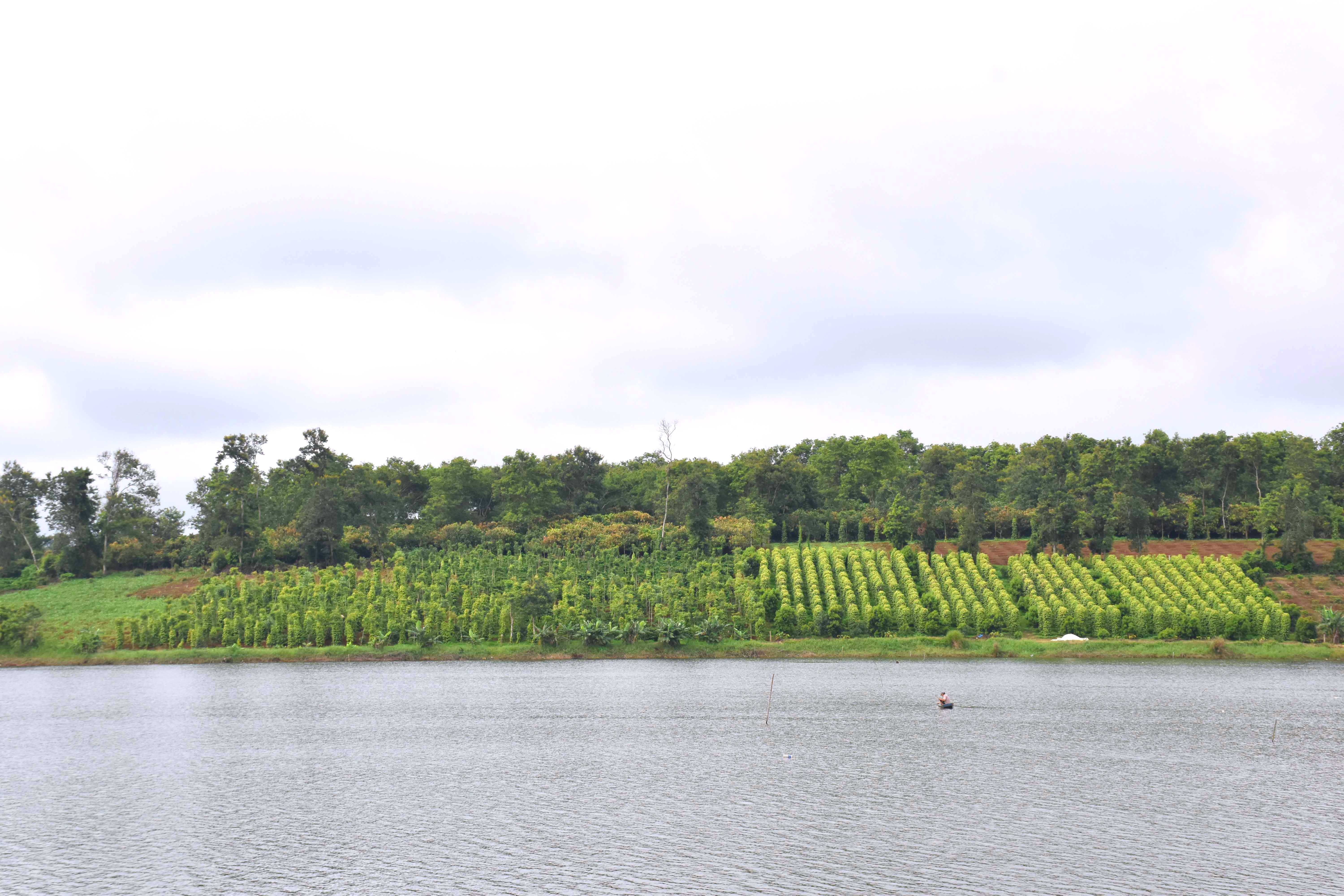 Mot thoang Tay Nguyen anh 2