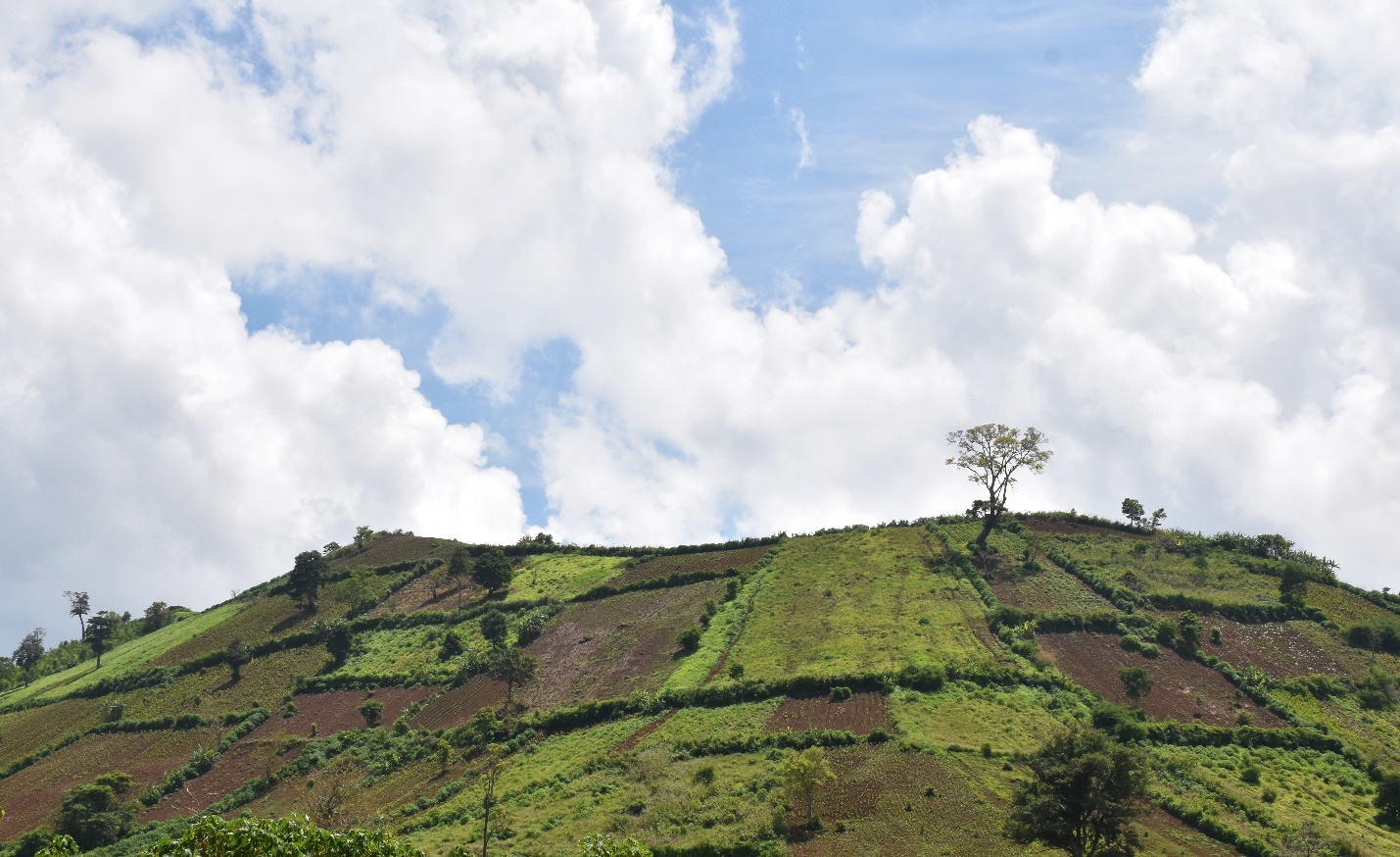 Mot thoang Tay Nguyen anh 10