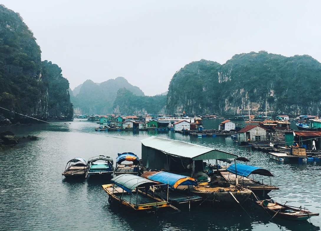 Cam nang du lich Cat Ba anh 8