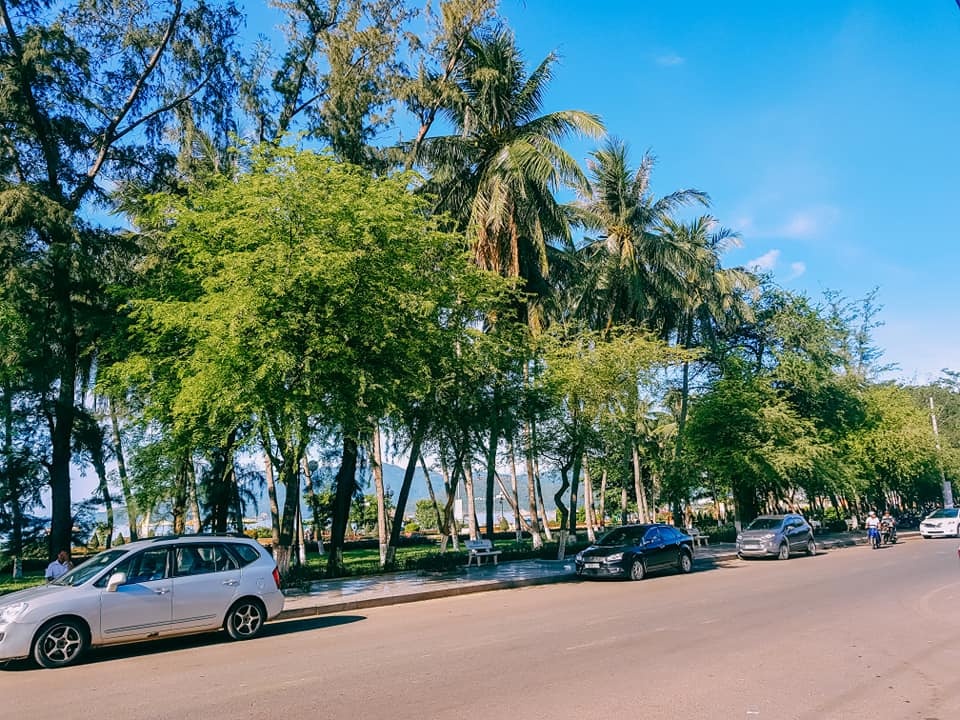 Du lịch Phú Yên ảnh 6 Du lich Phu Yen anh 6