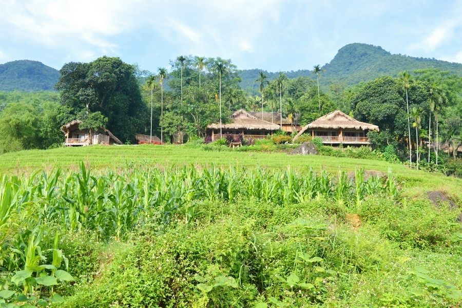 Du lich Pu Luong anh 5