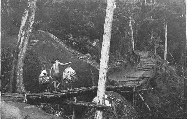 Bà Nà Hill ảnh 1 Ba Na Hill anh 1