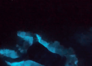 Cheo thuyen kayak tren song phat sang o Florida hinh anh