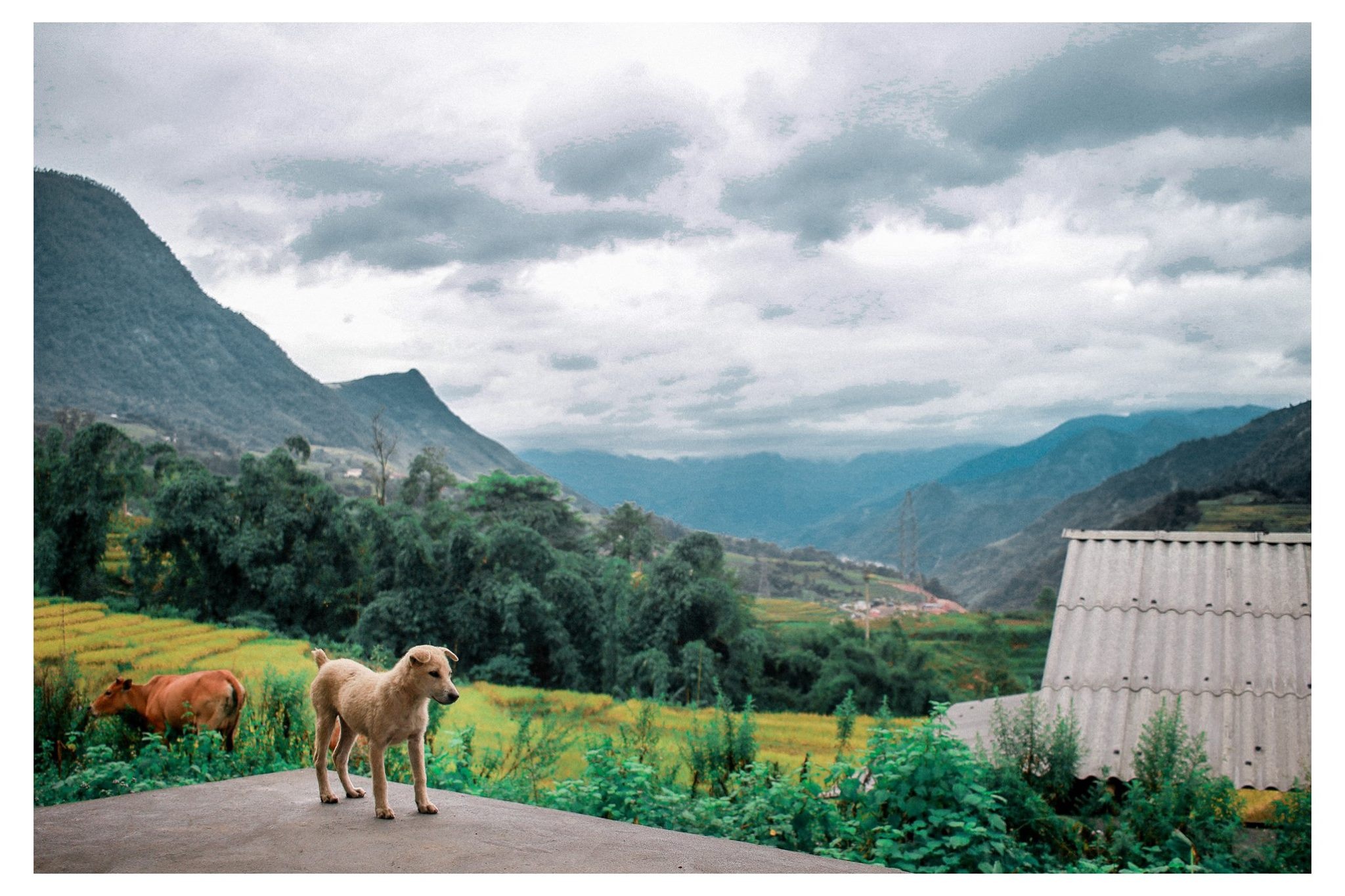 Review chuyen du lich Sa Pa anh 3