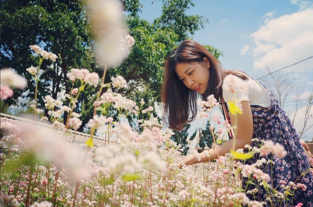 Hà Giang có bao nhiêu dân tộc sinh sống ảnh 6 Ha Giang co bao nhieu dan toc sinh song anh 6